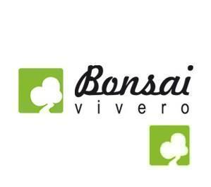 LOTE DE TRES ROSALES SILVESTRES JAPONESES LOTE DE TRES ROSALES SILVESTRES JAPONESES