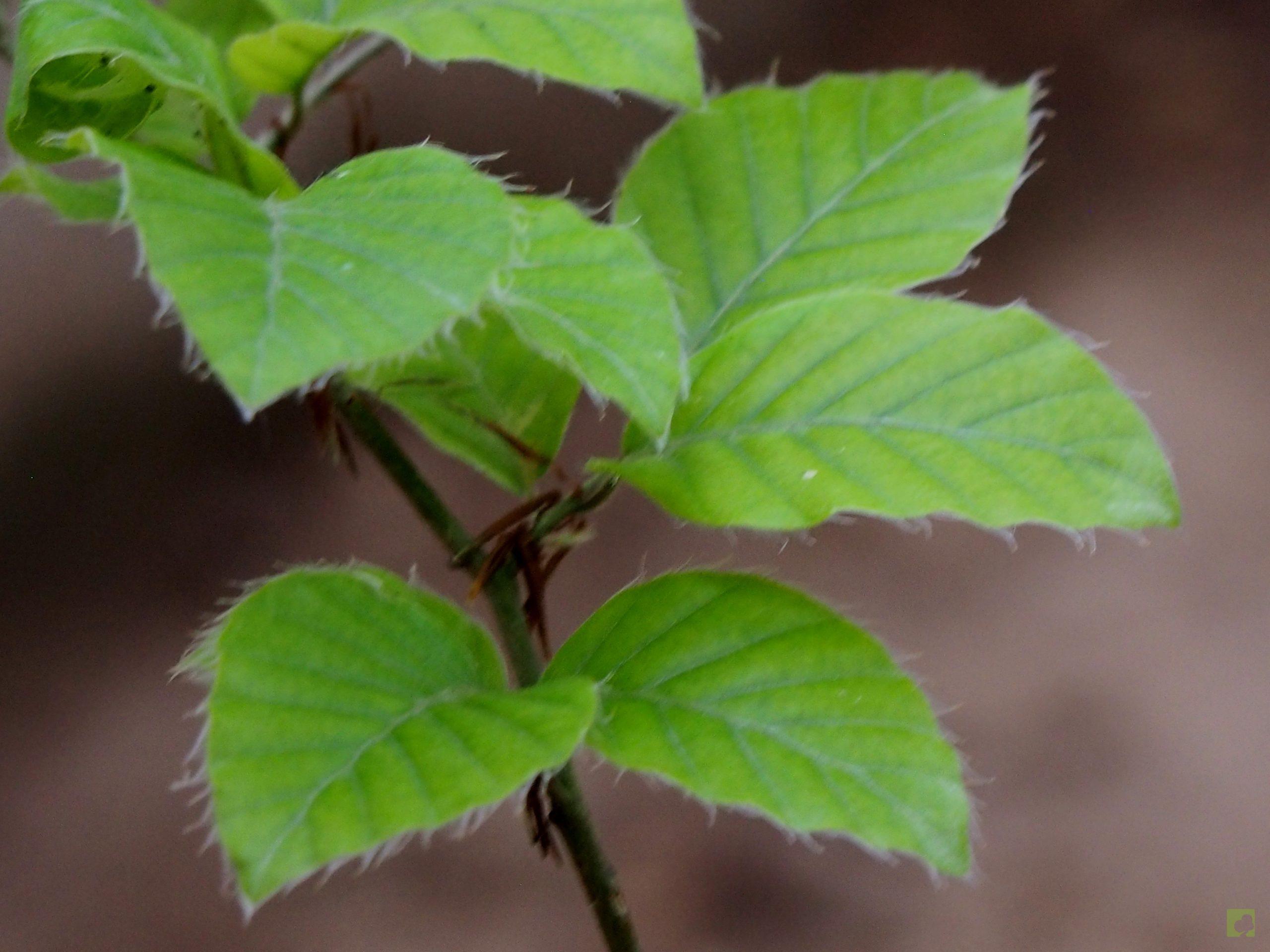 Processed with MOLDIV