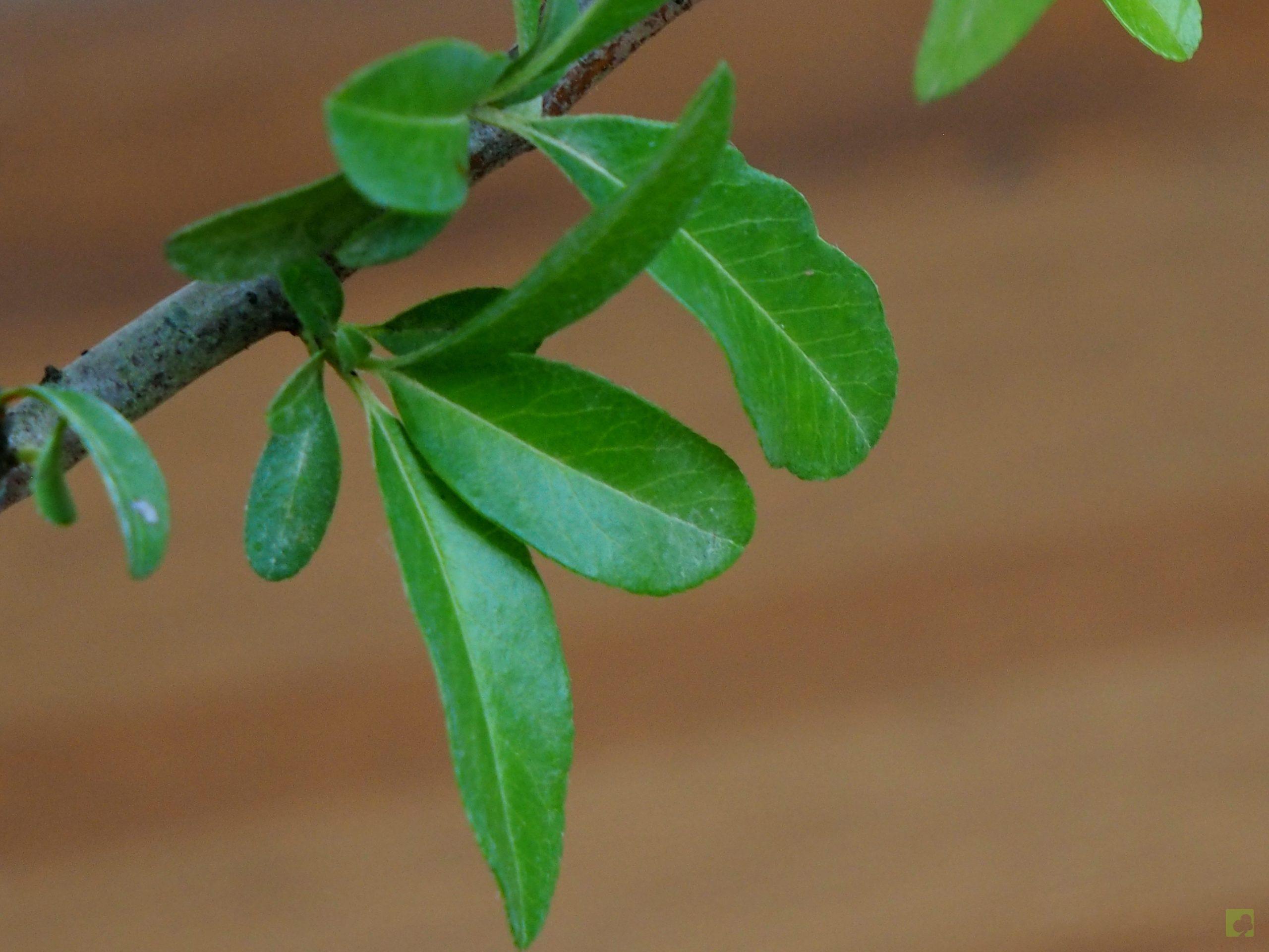 Processed with MOLDIV