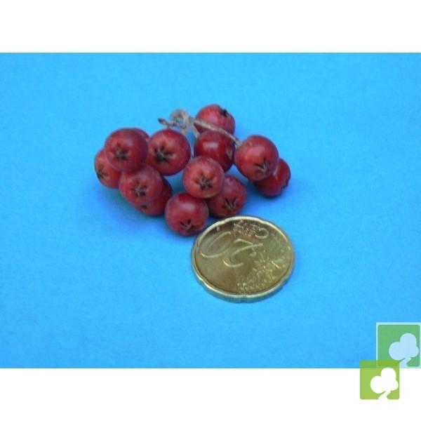 SEMILLAS DE ARONIA (PHOTINIA MELONOCARPA) SEMILLAS DE ARONIA (PHOTINIA MELONOCARPA)