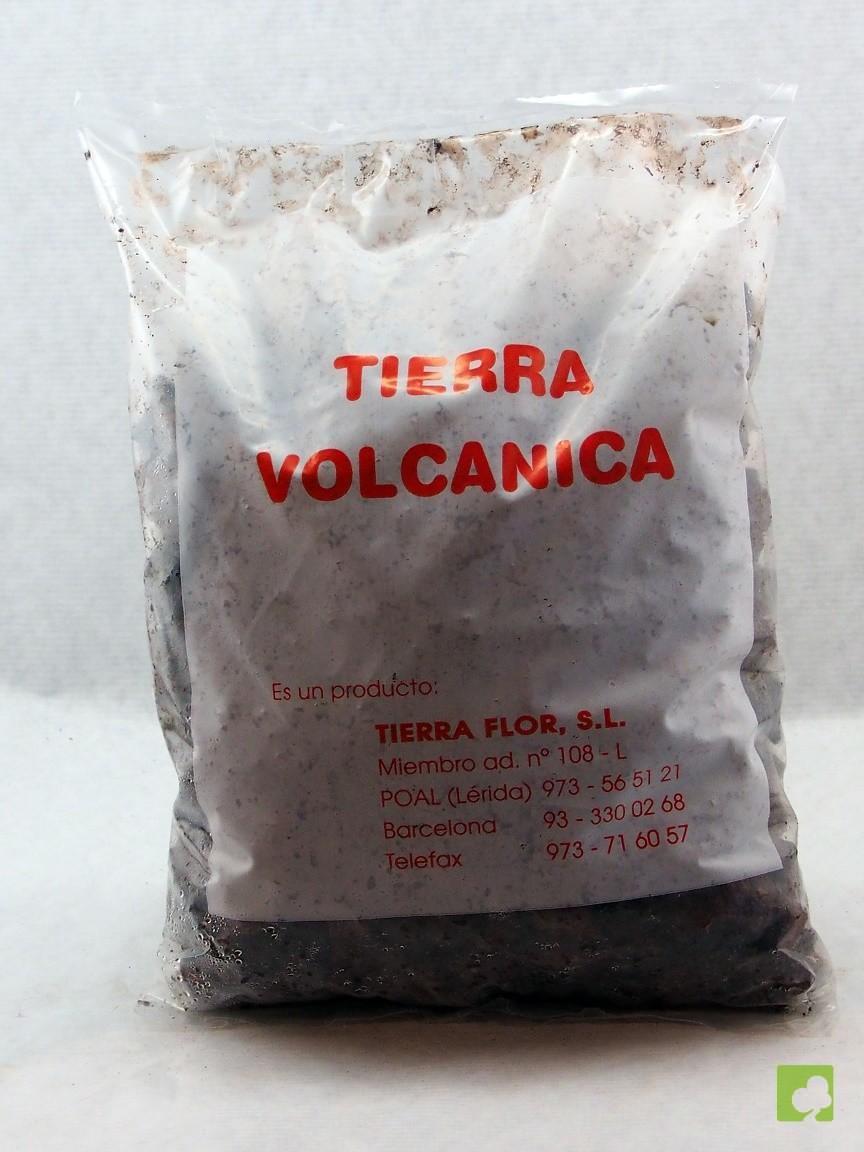 TIERRA VOLCANICA TIERRA VOLCANICA