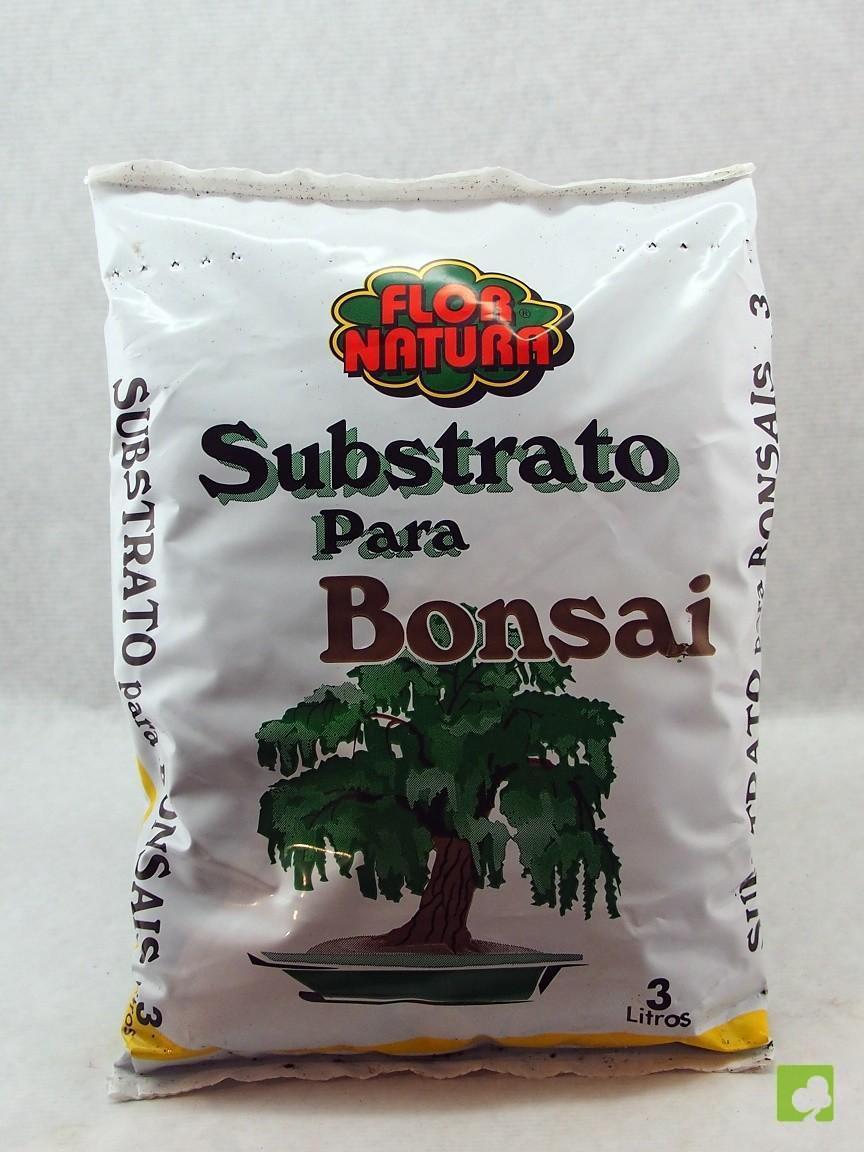 TIERRA BONSAIS TIERRA BONSAIS