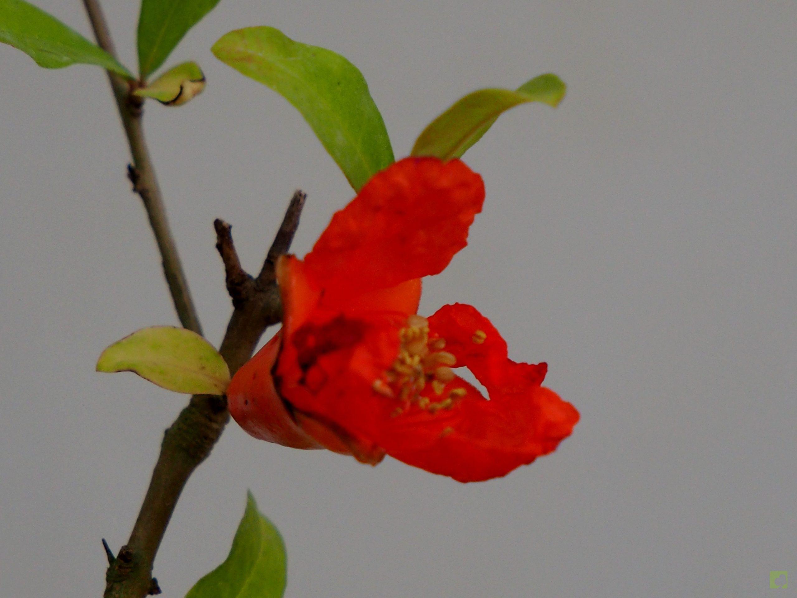 Processed with MOLDIV