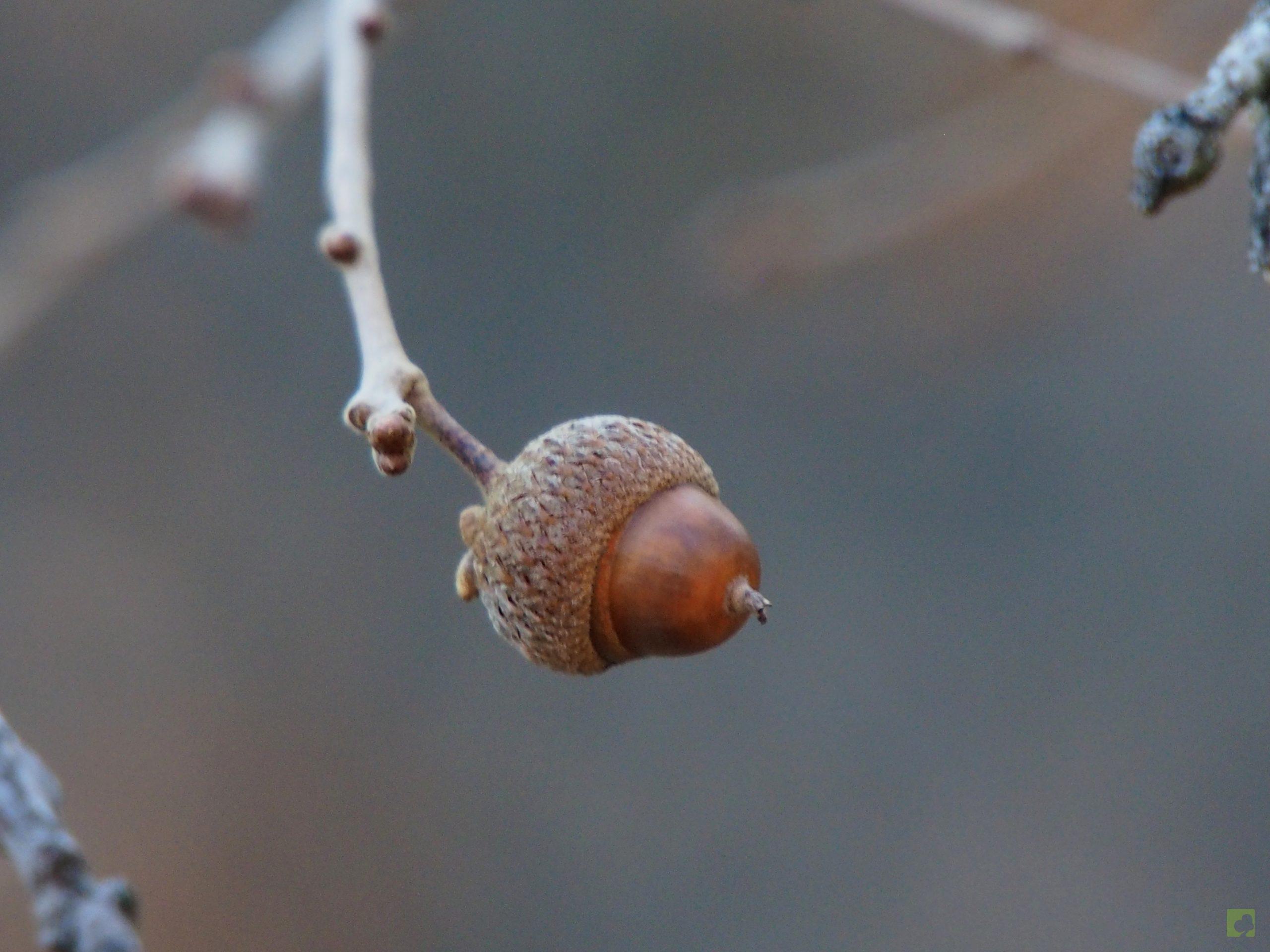 Processed with MOLDIV