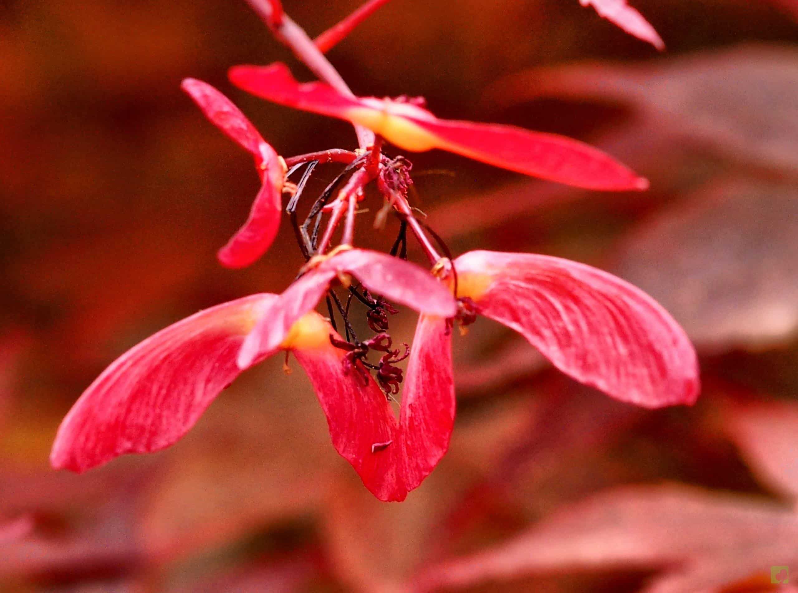 Processed with MOLDIV