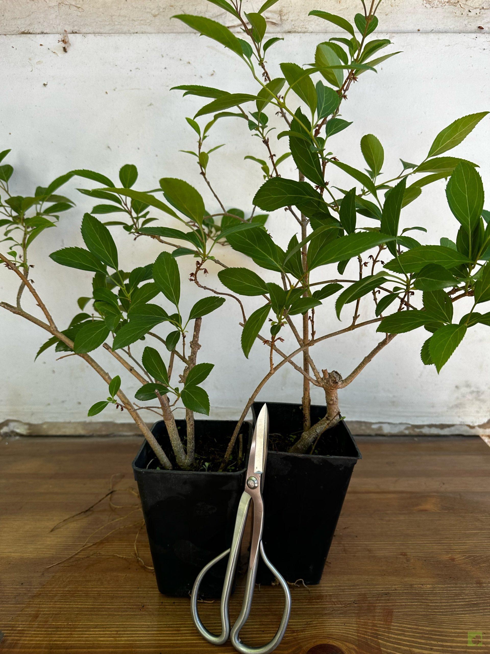 Processed with MOLDIV