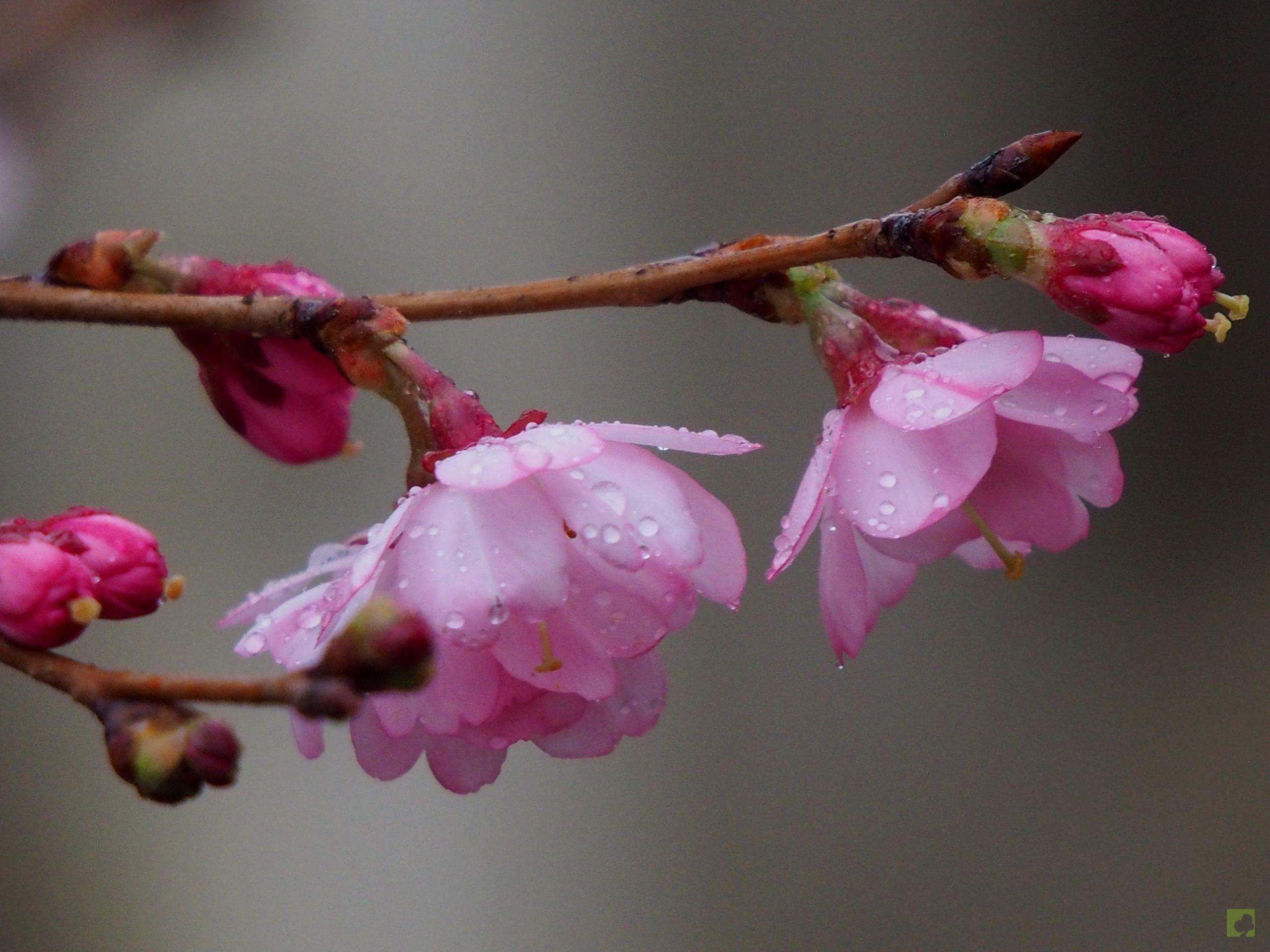 Processed with MOLDIV