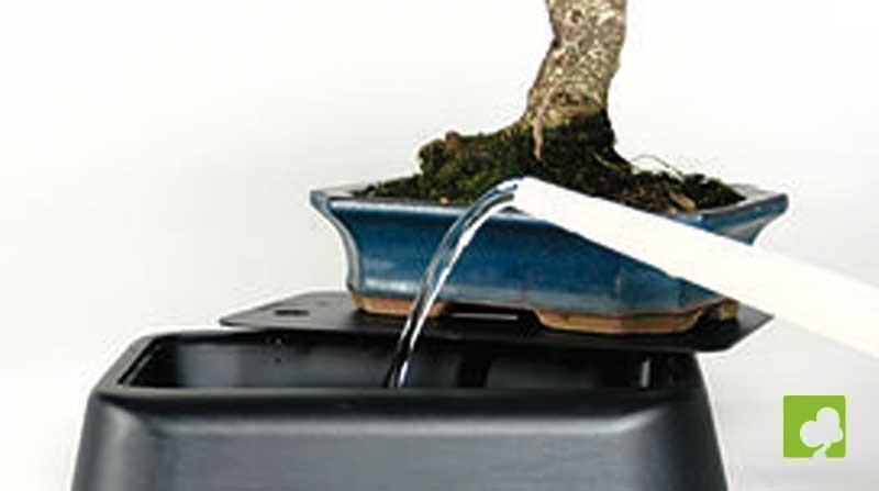 HIDROBONSAI-SYSTEM plástico HIDROBONSAI-SYSTEM plástico