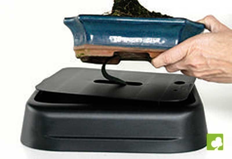 HIDROBONSAI-SYSTEM plástico HIDROBONSAI-SYSTEM plástico