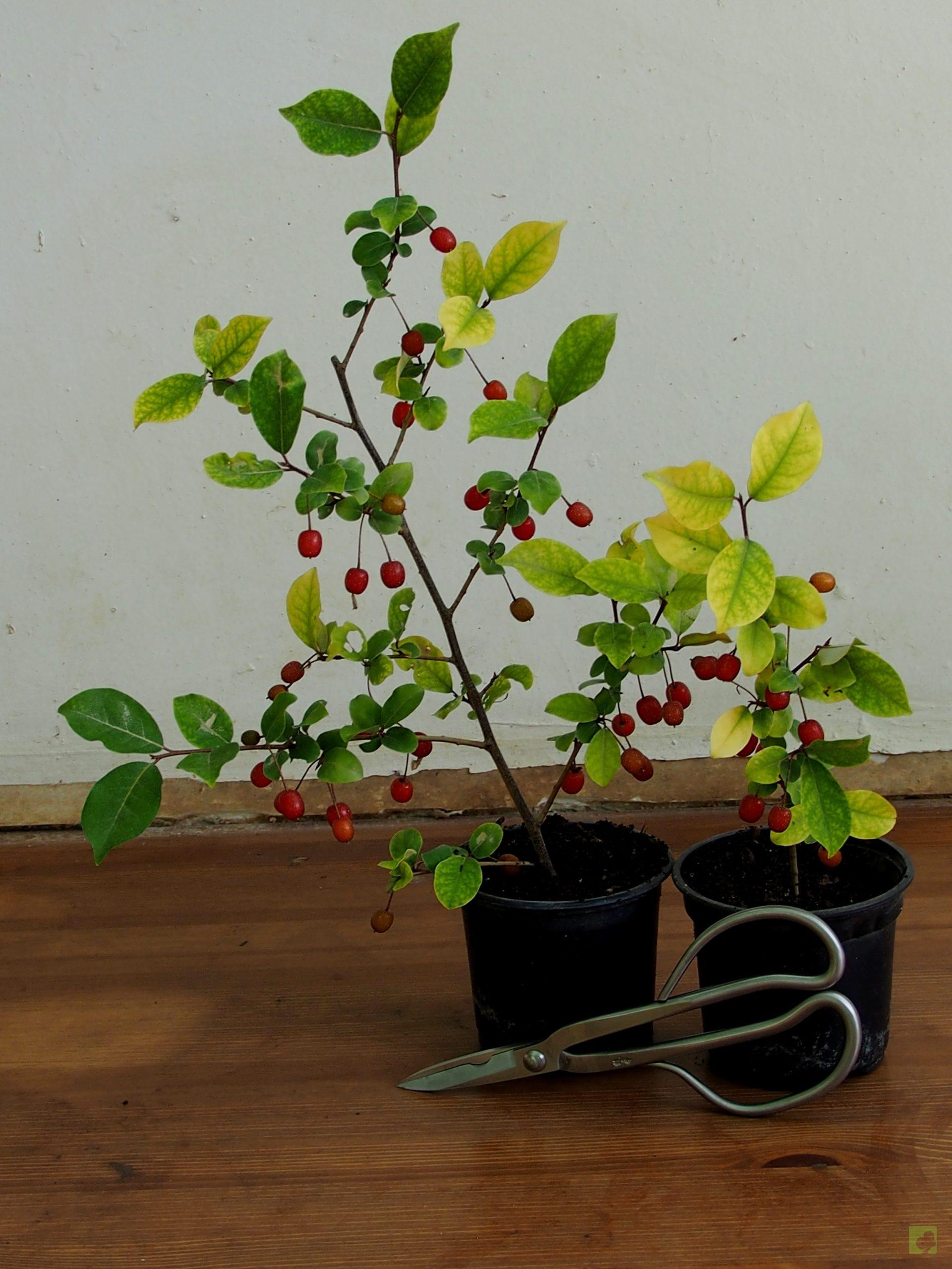 Processed with MOLDIV