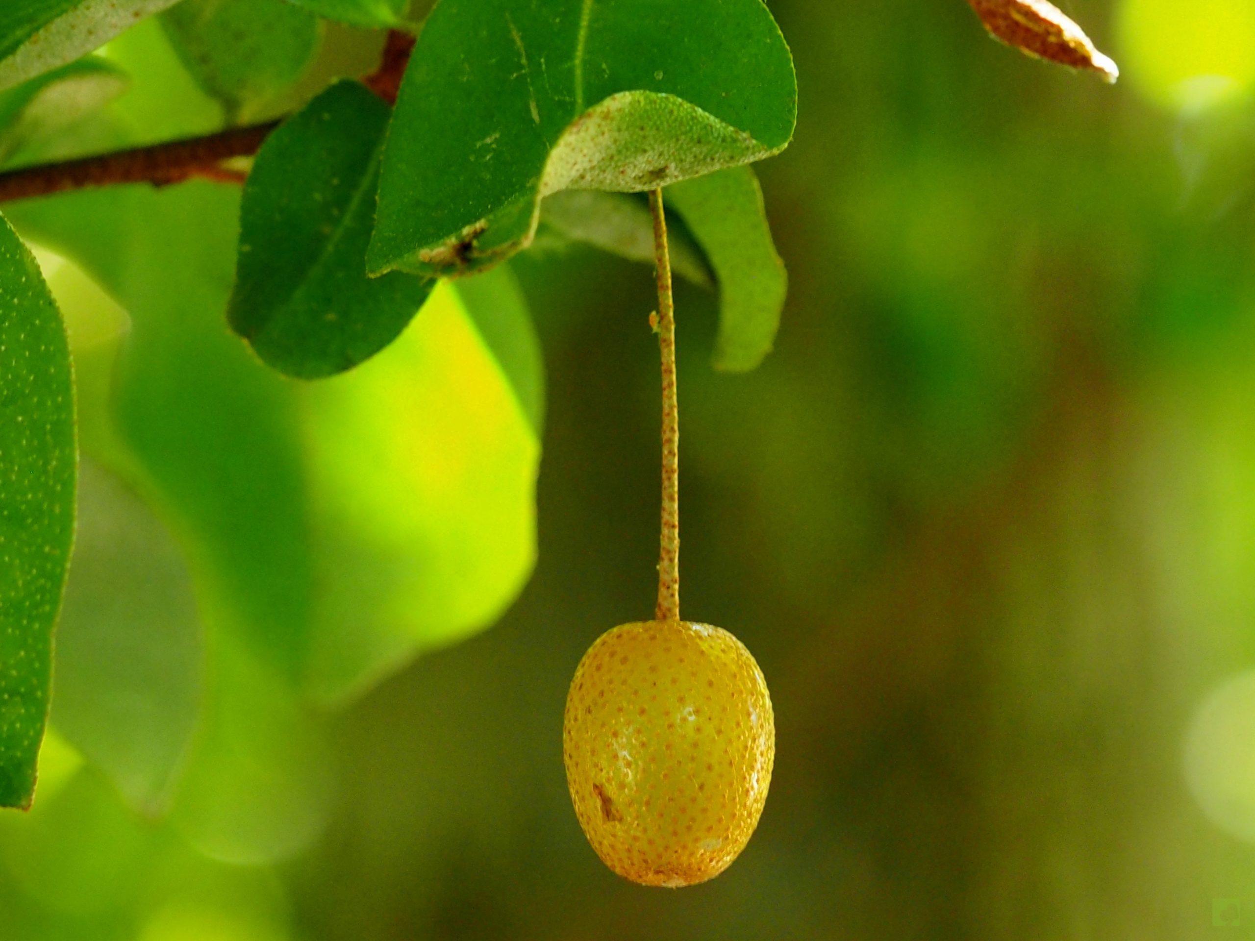 Processed with MOLDIV