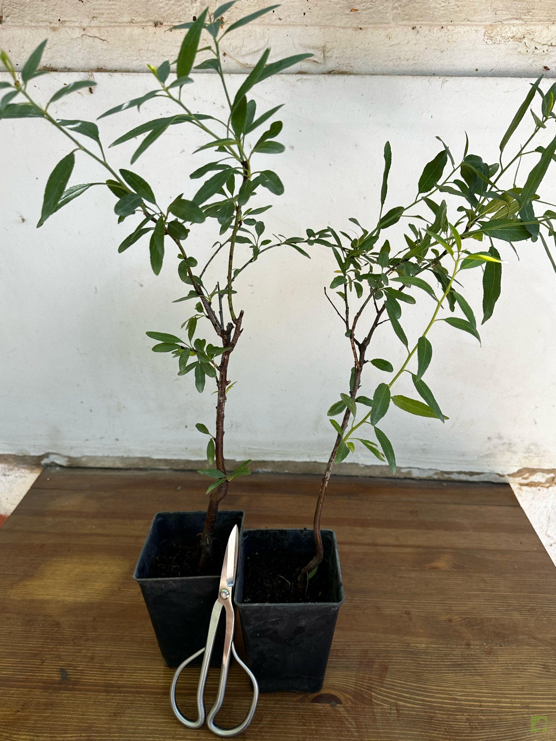 Processed with MOLDIV