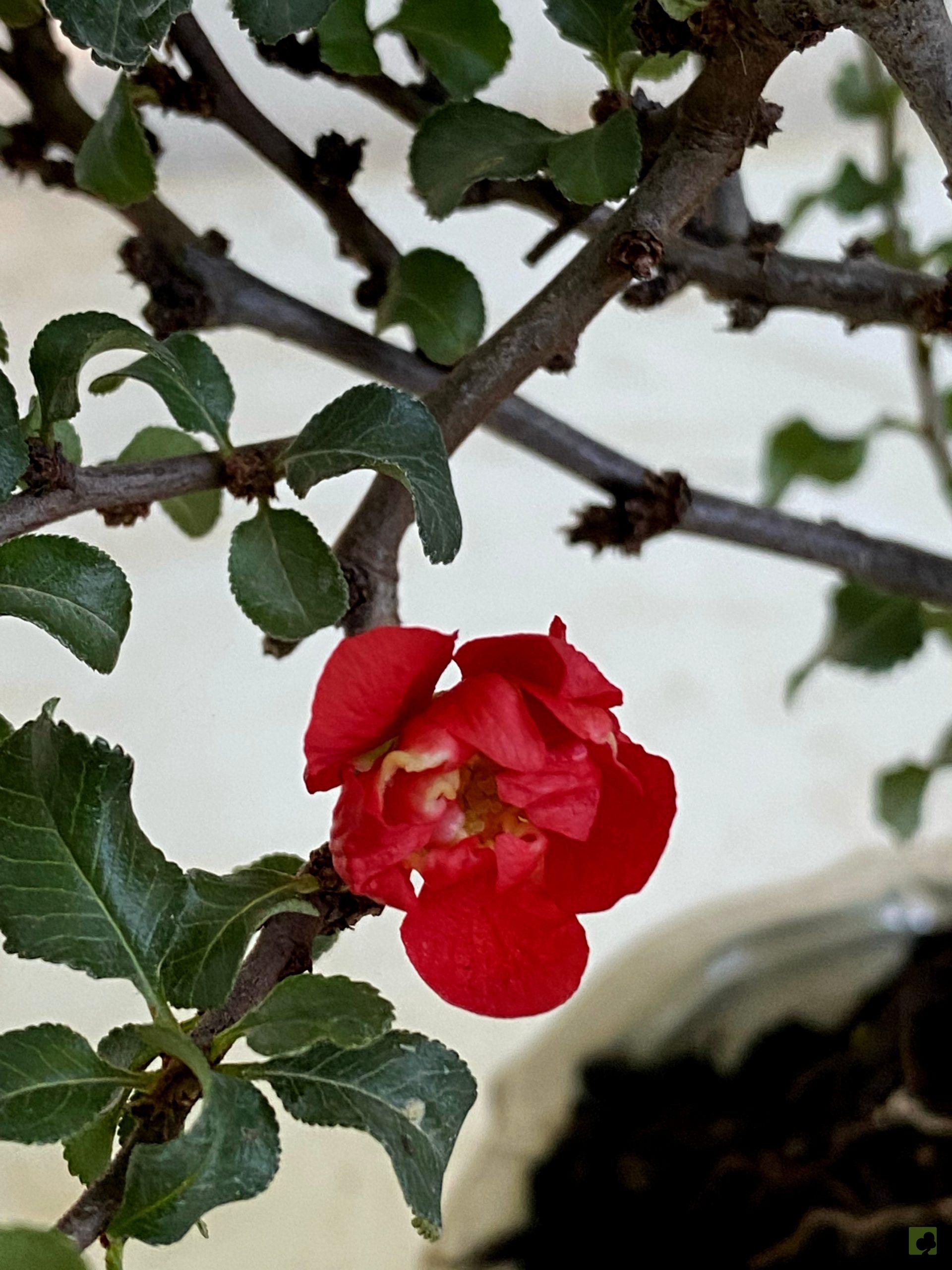 Processed with MOLDIV