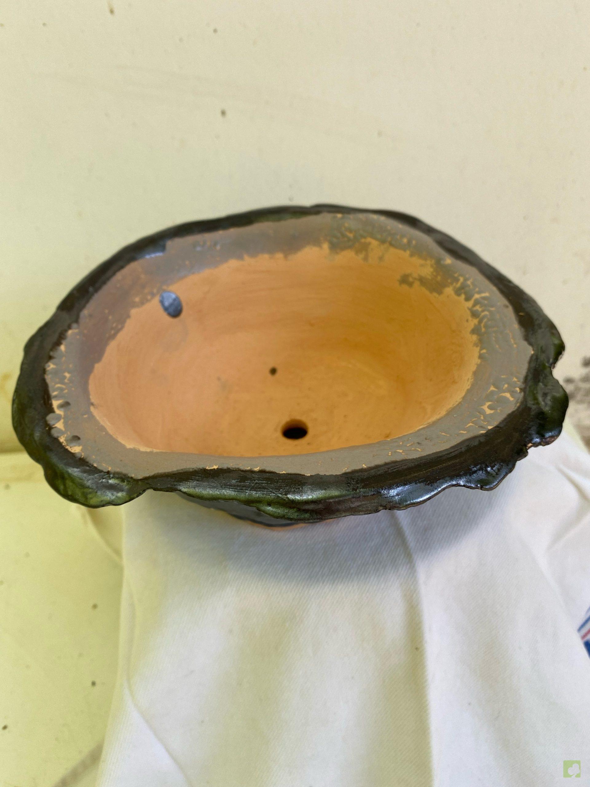 Processed with MOLDIV