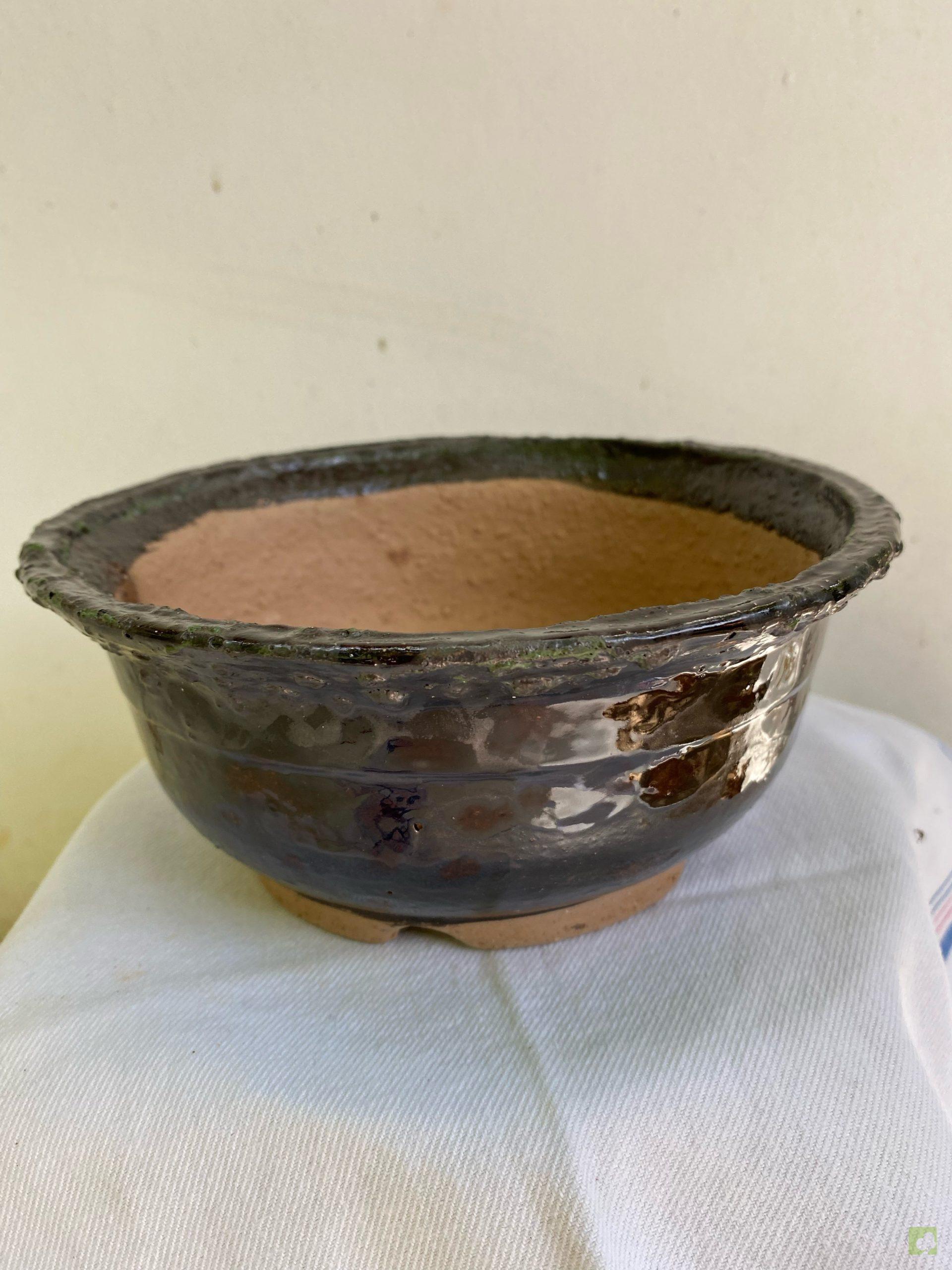 Processed with MOLDIV