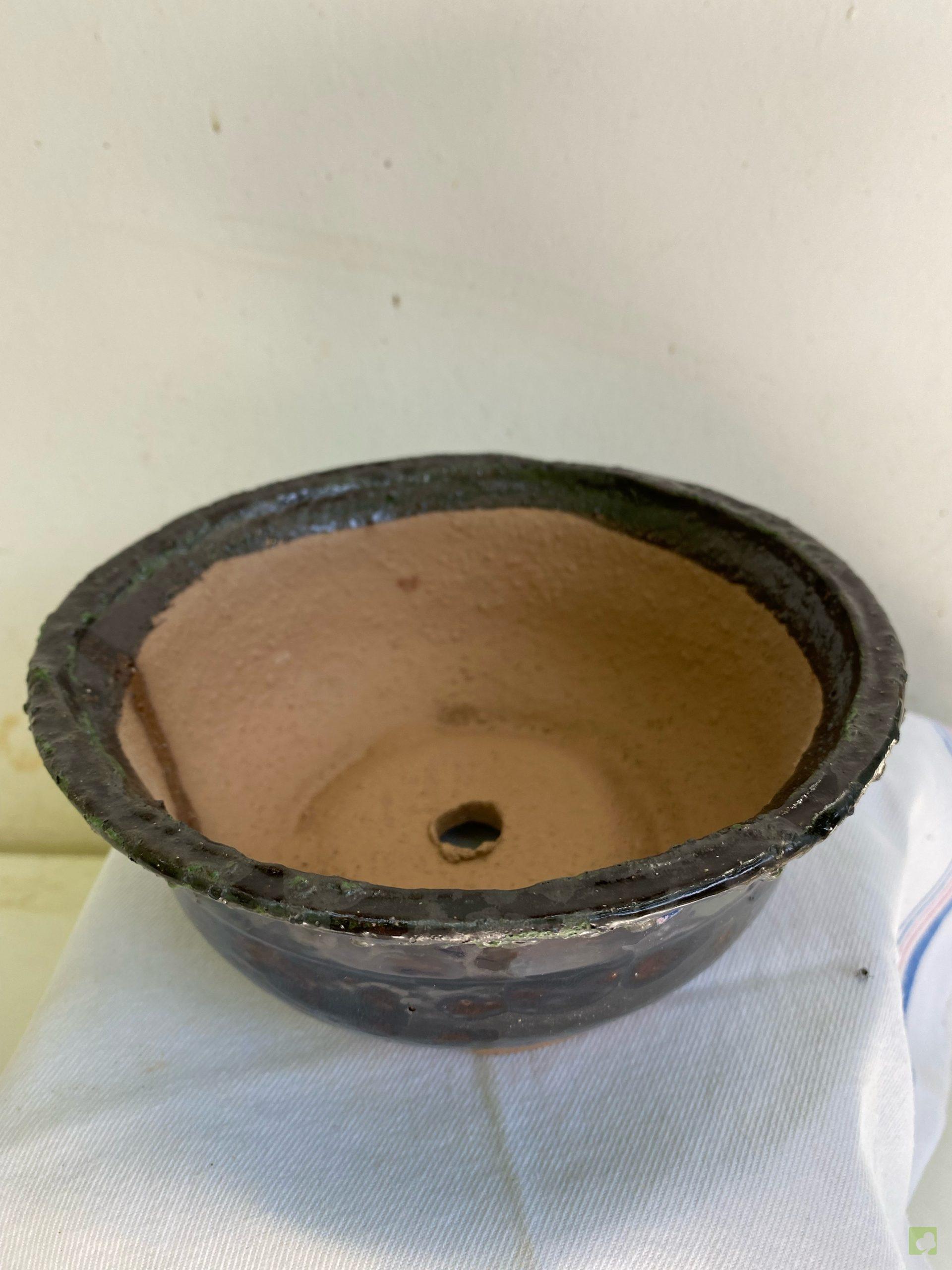 Processed with MOLDIV