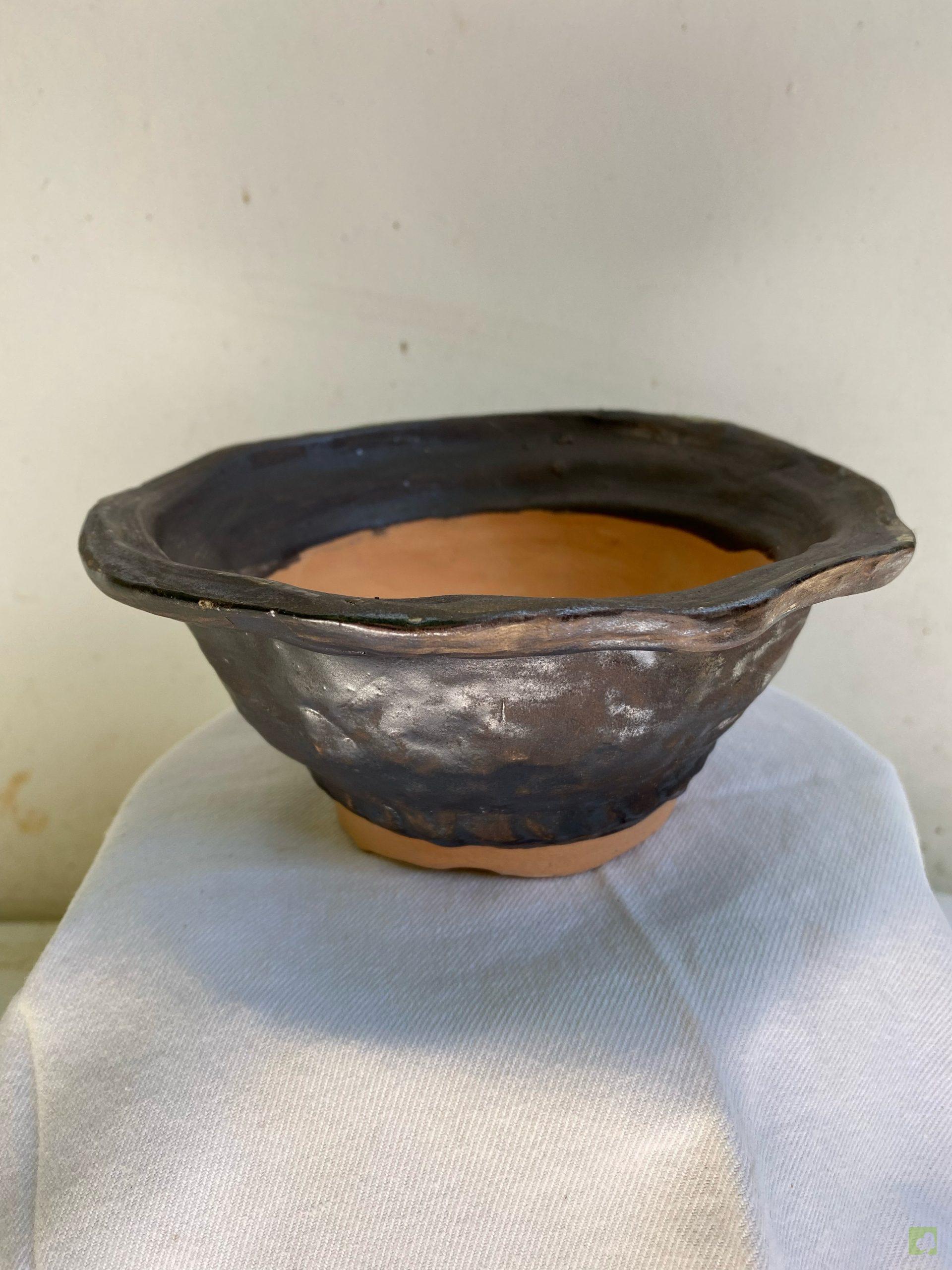 Processed with MOLDIV