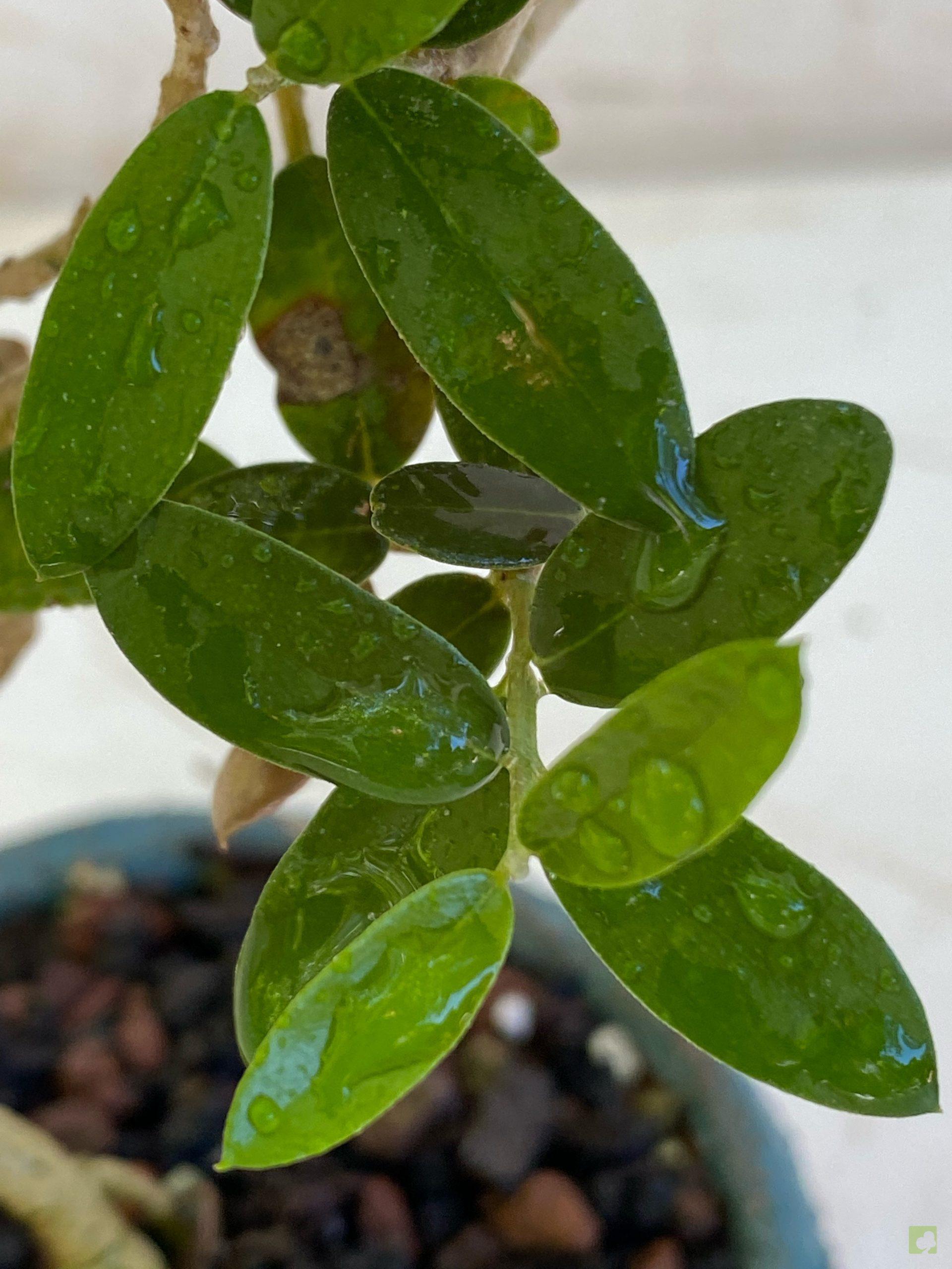 Processed with MOLDIV