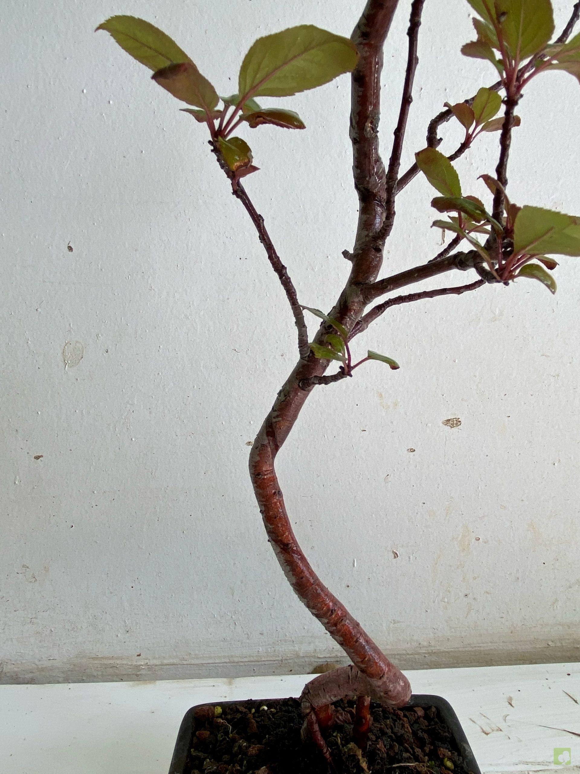 Processed with MOLDIV