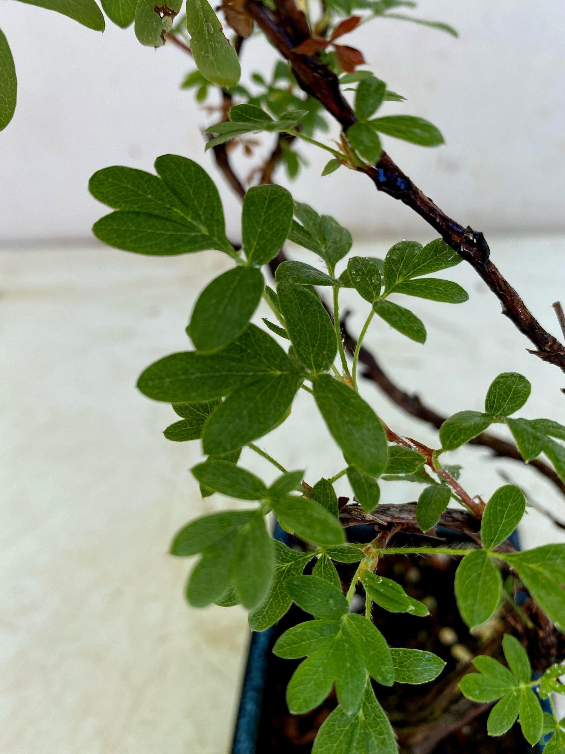 Processed with MOLDIV