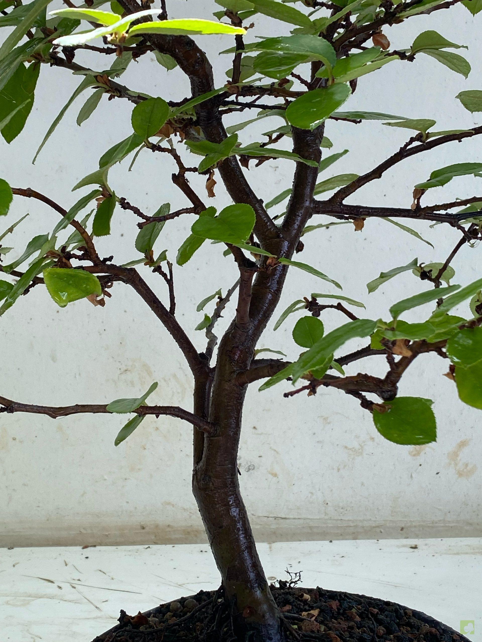 Processed with MOLDIV