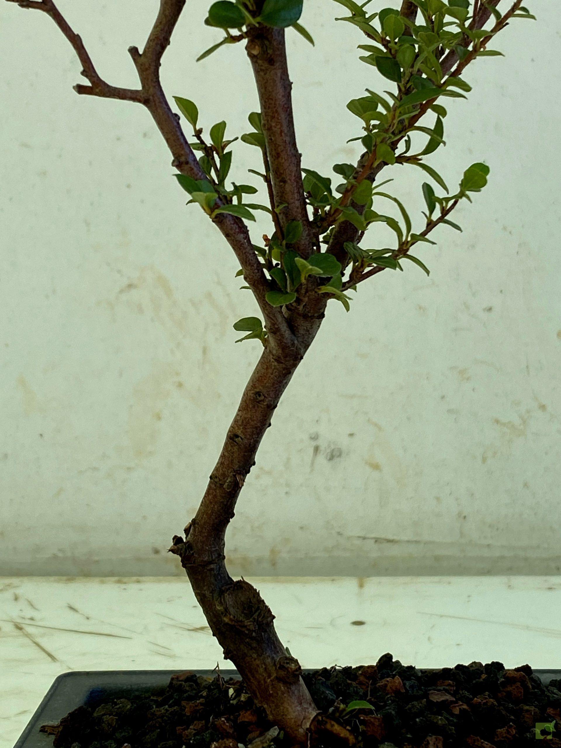 Processed with MOLDIV