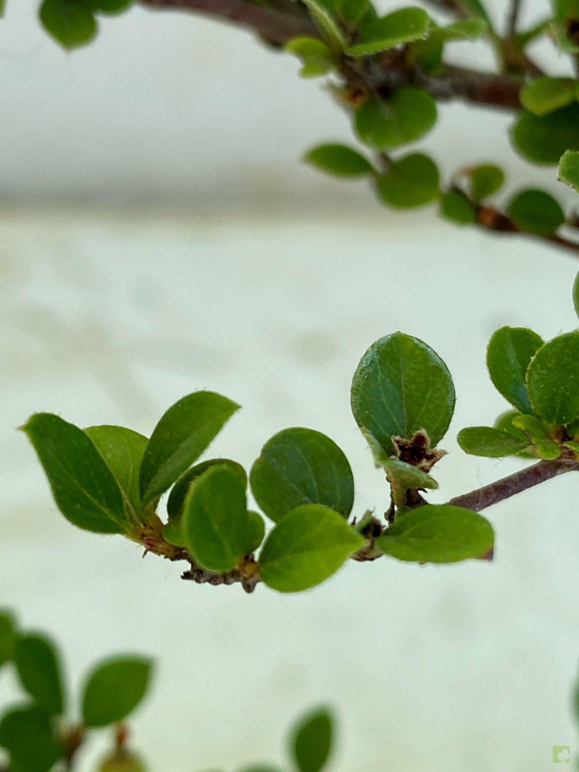 Processed with MOLDIV