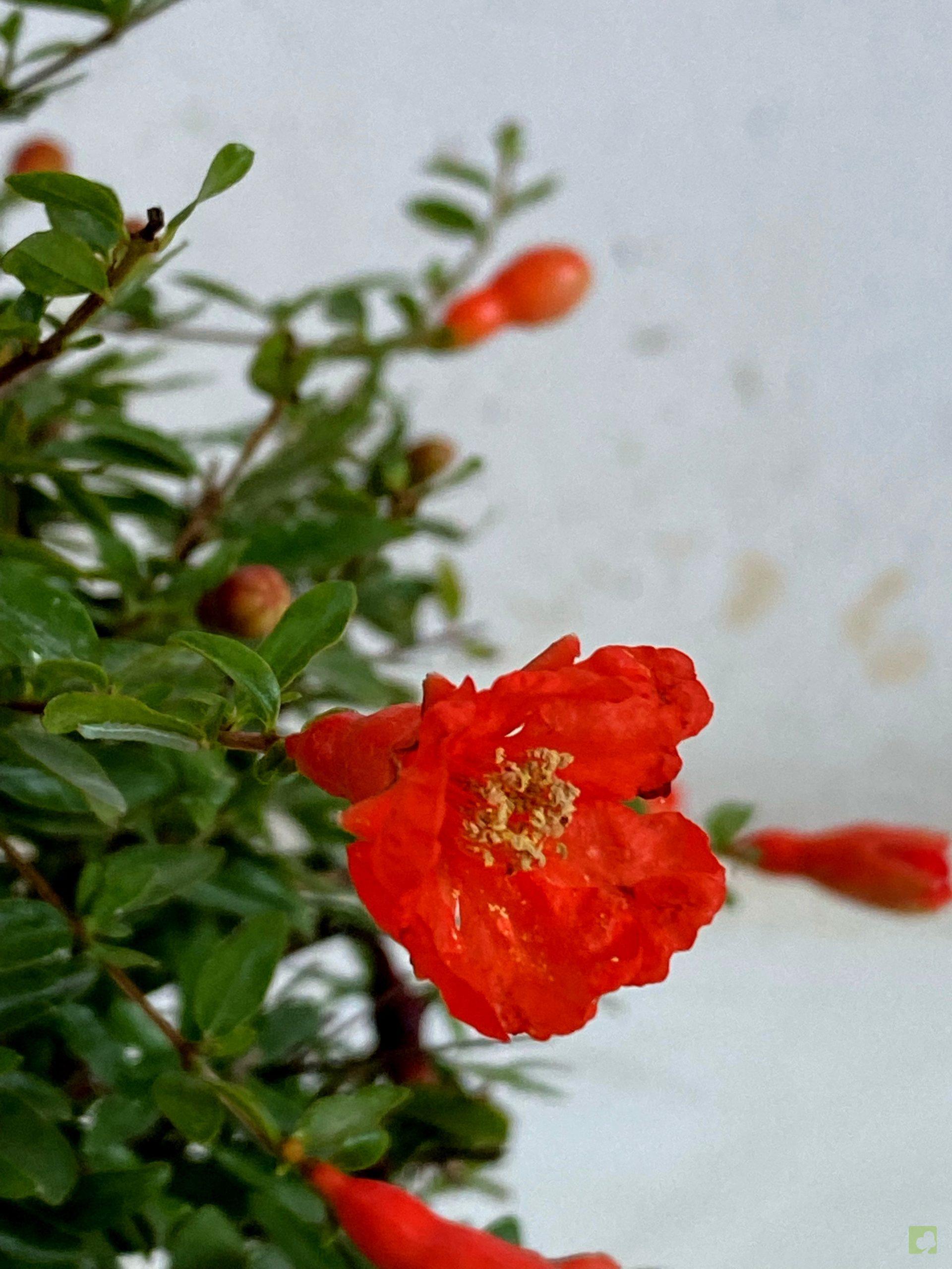 Processed with MOLDIV