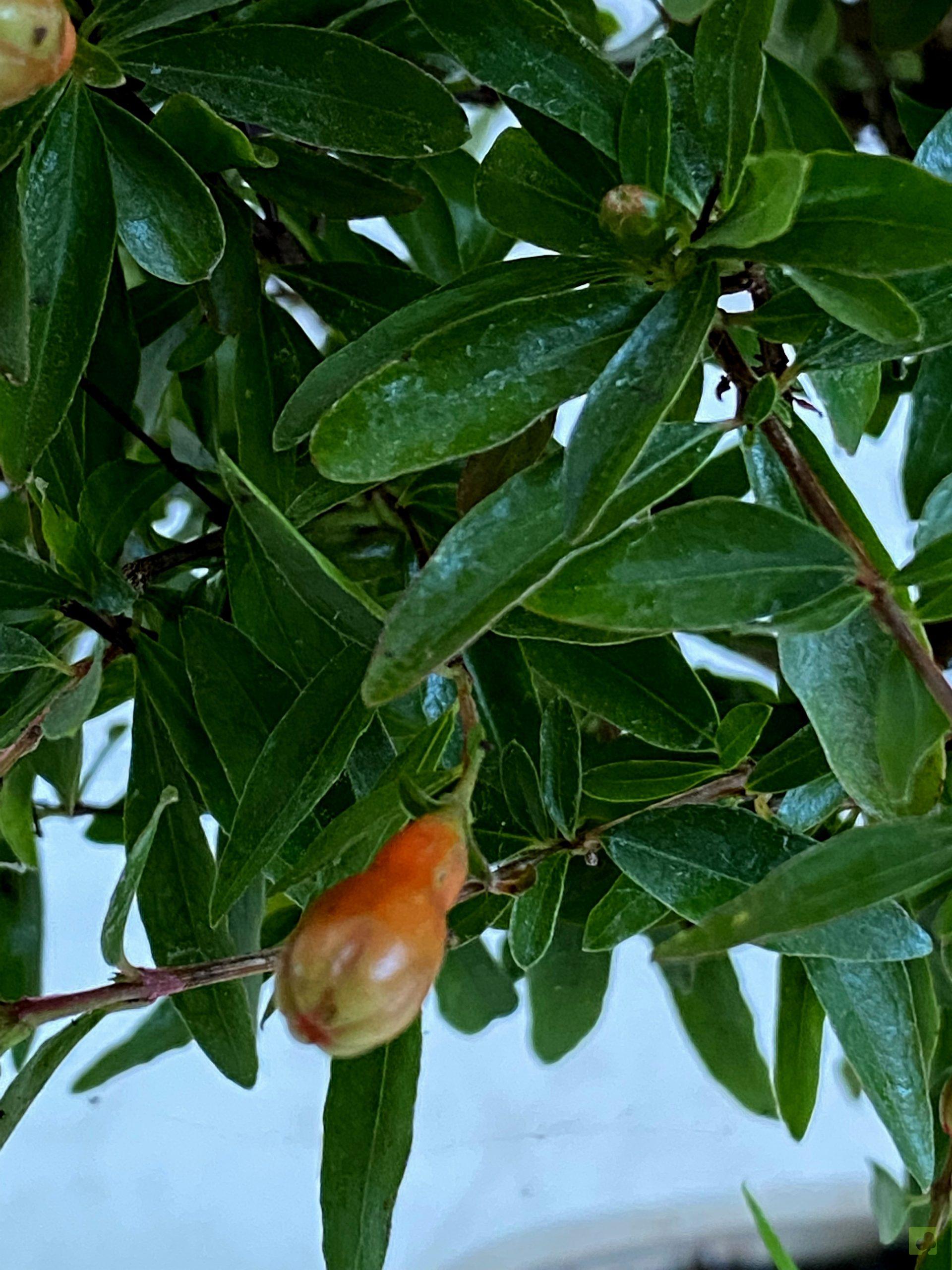 Processed with MOLDIV