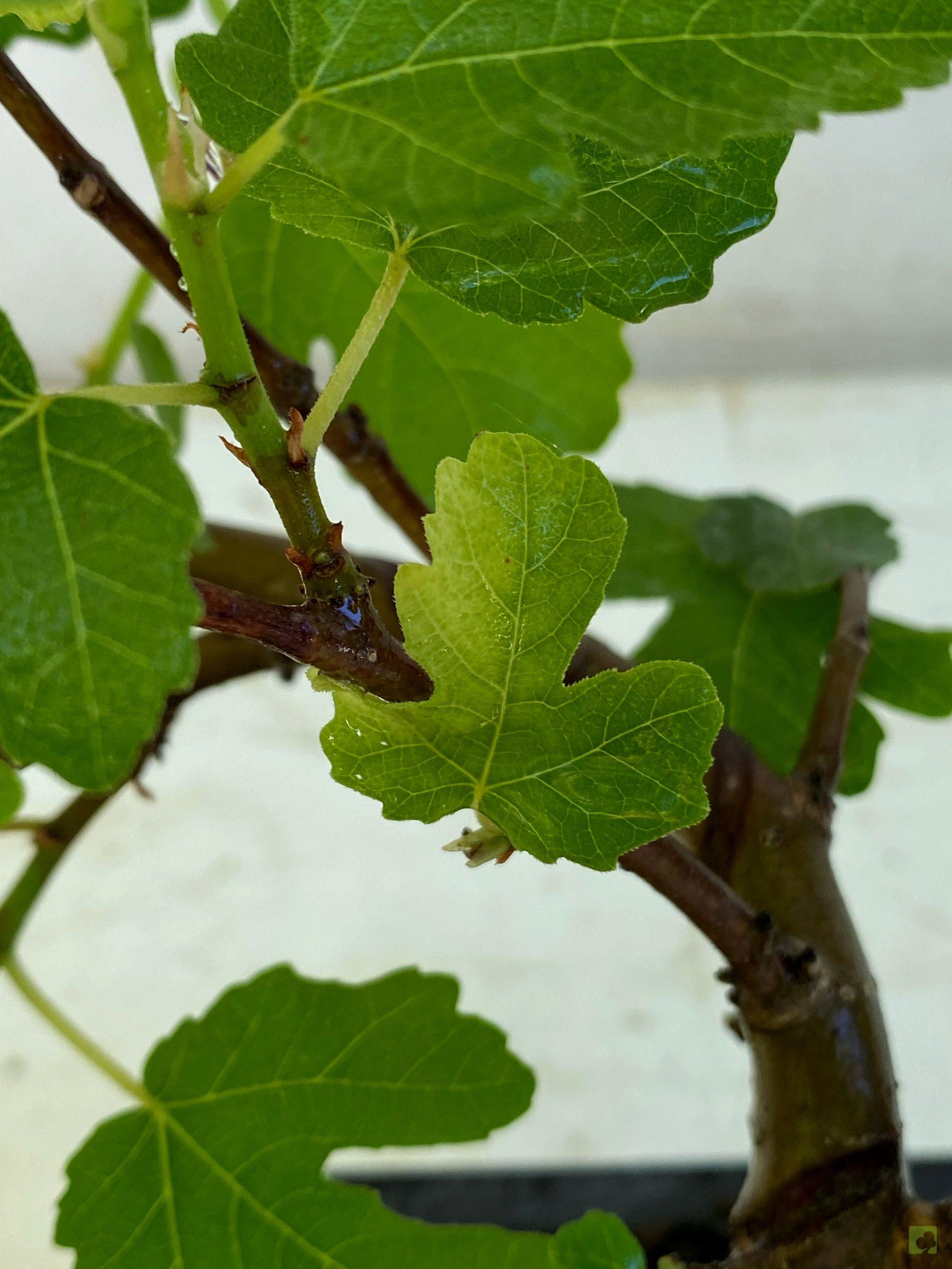 Processed with MOLDIV