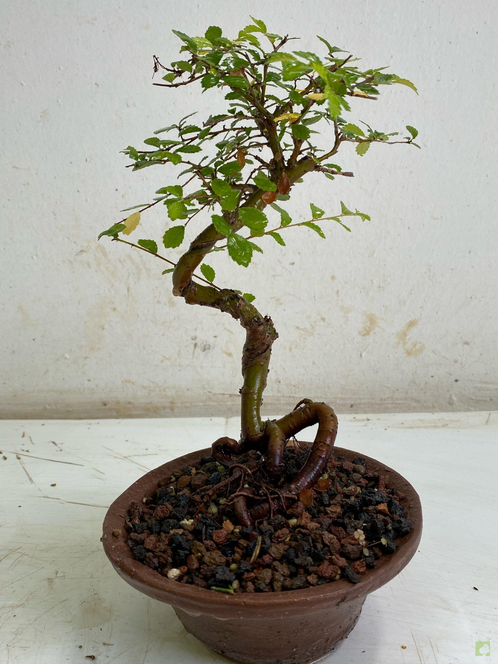 Processed with MOLDIV