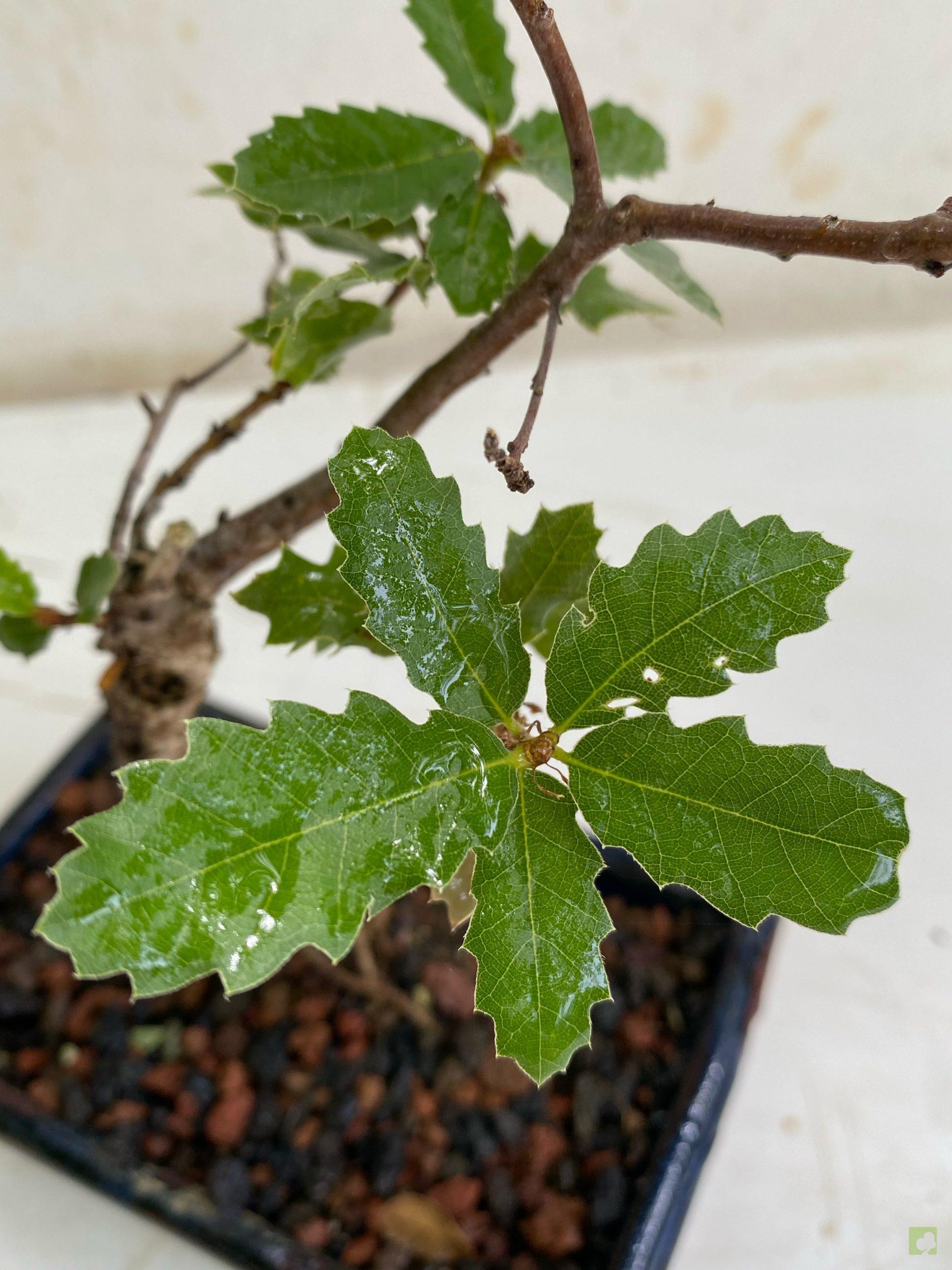 Processed with MOLDIV