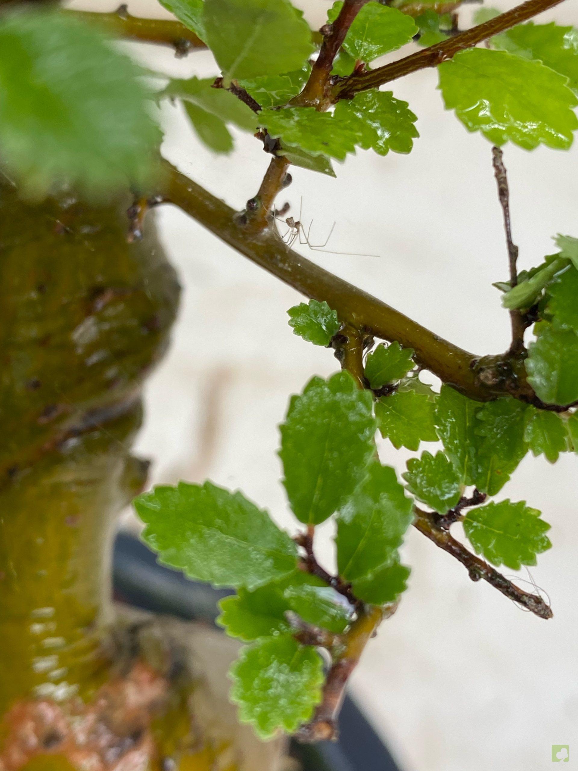 Processed with MOLDIV