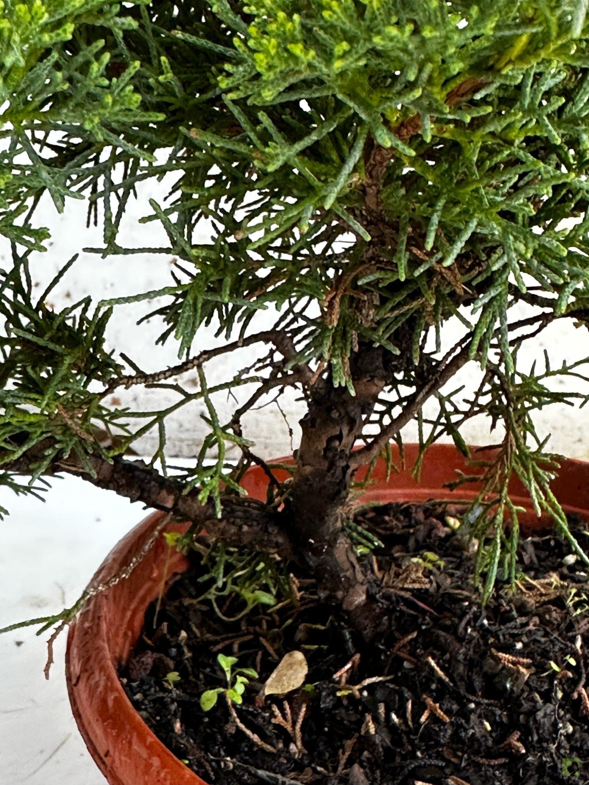 Processed with MOLDIV