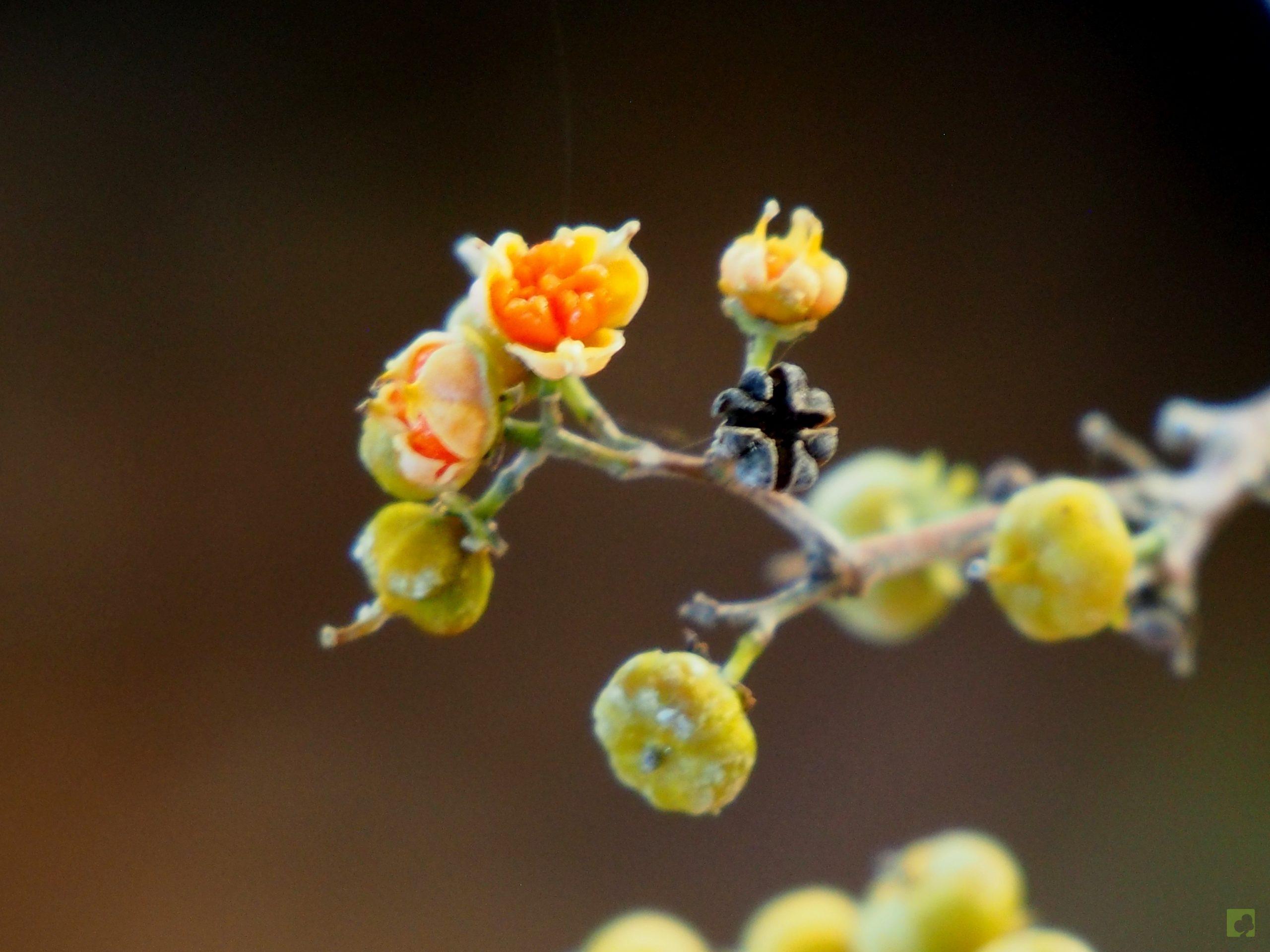 Processed with MOLDIV