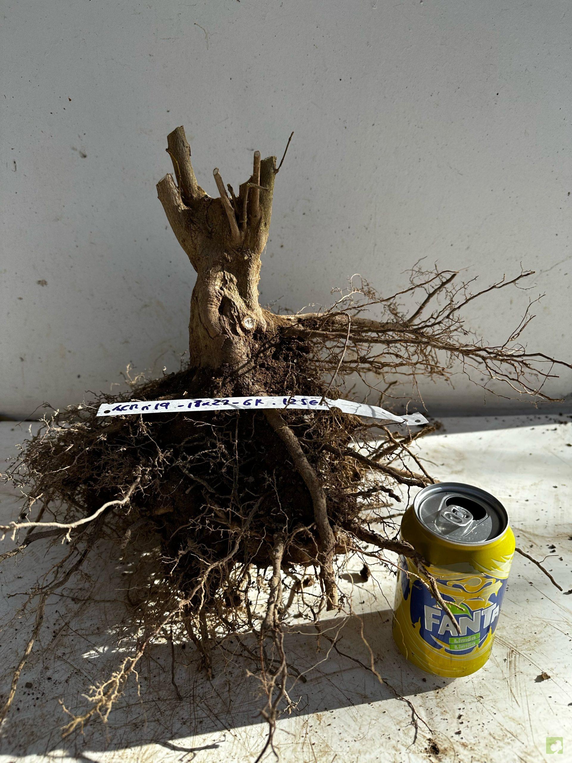 Processed with MOLDIV