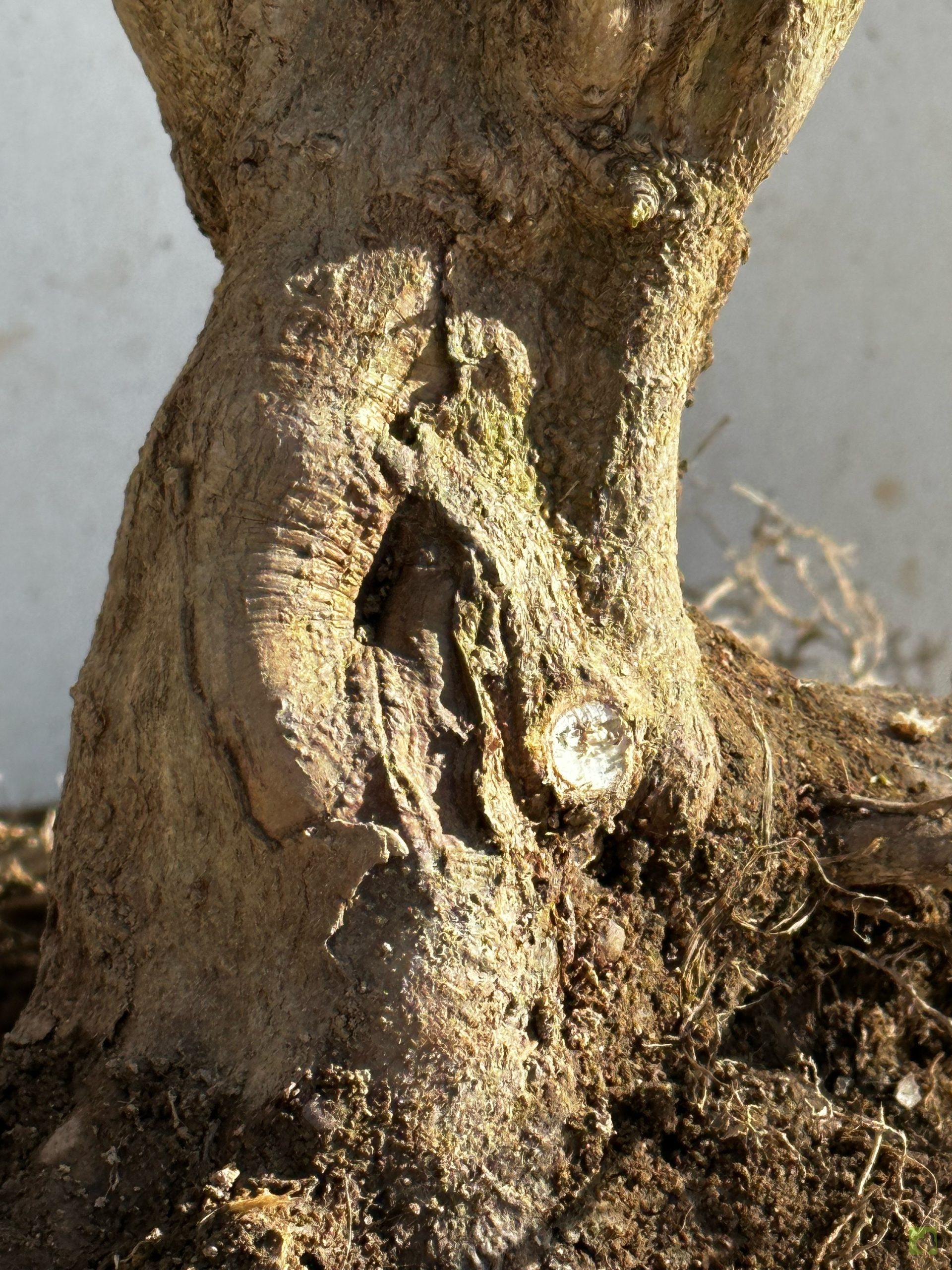 Processed with MOLDIV