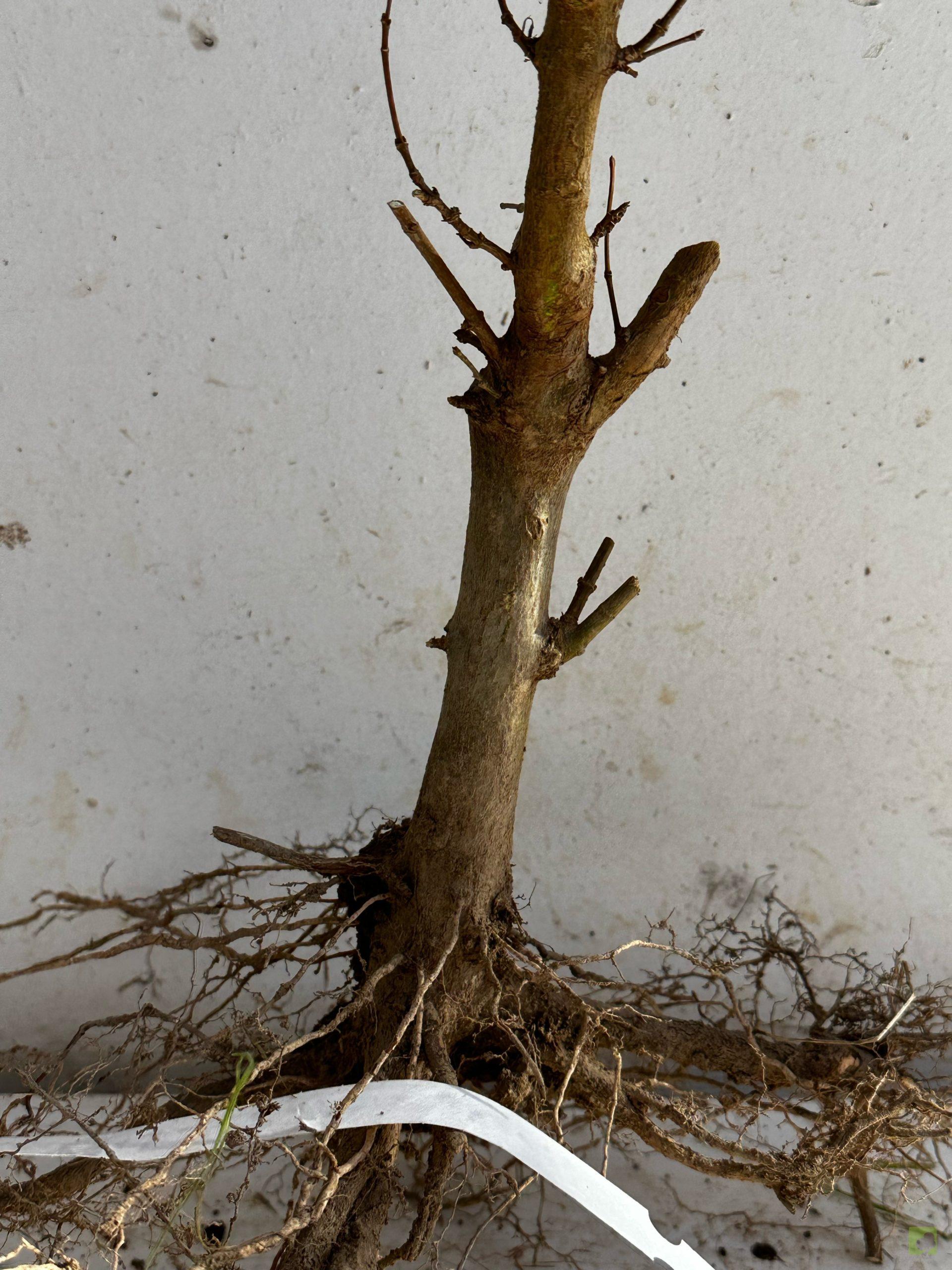 Processed with MOLDIV