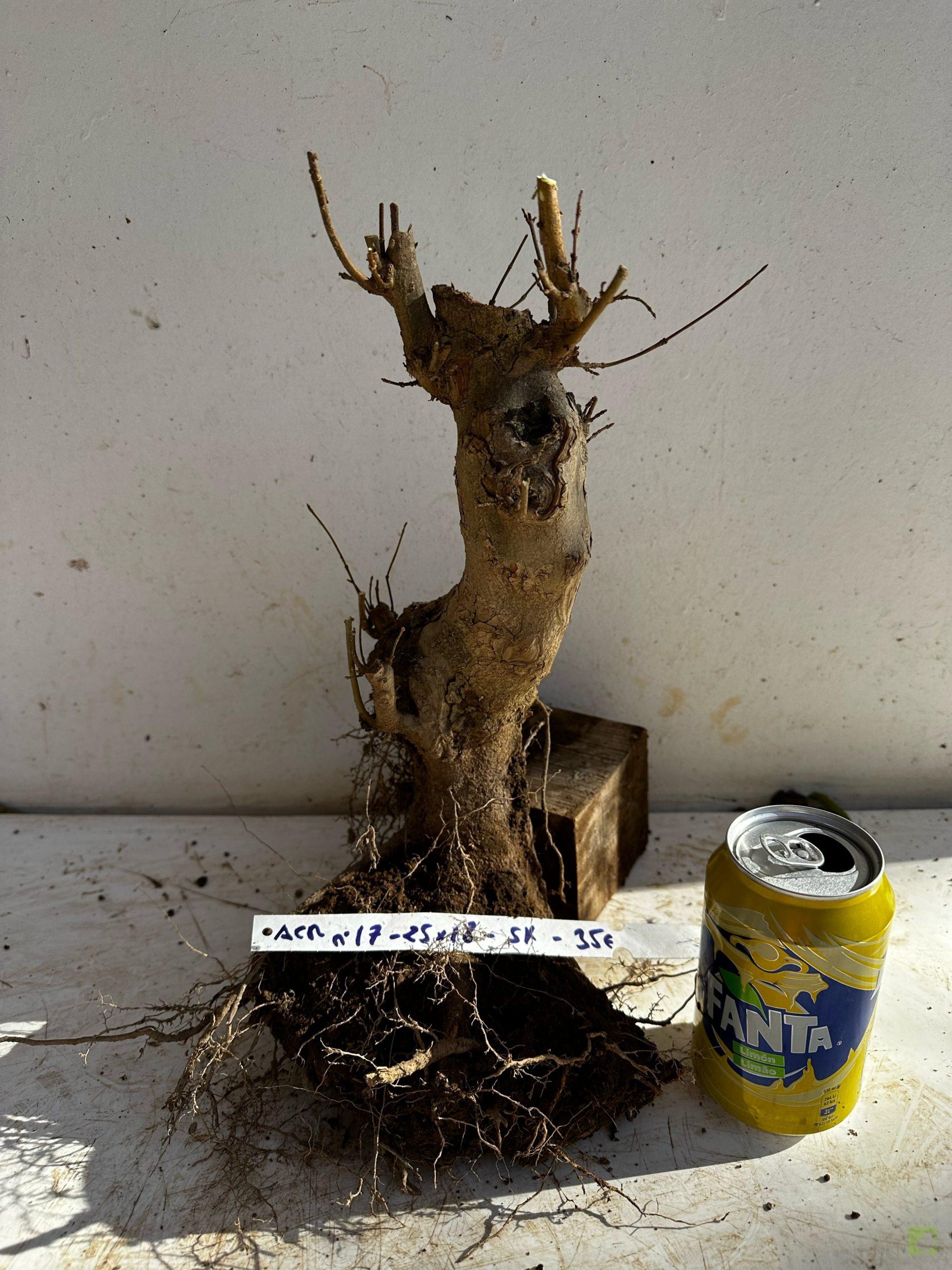 Processed with MOLDIV