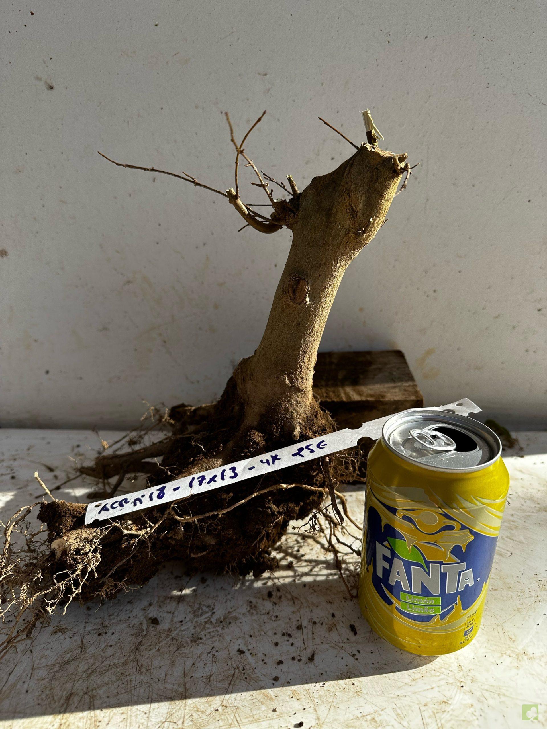 Processed with MOLDIV