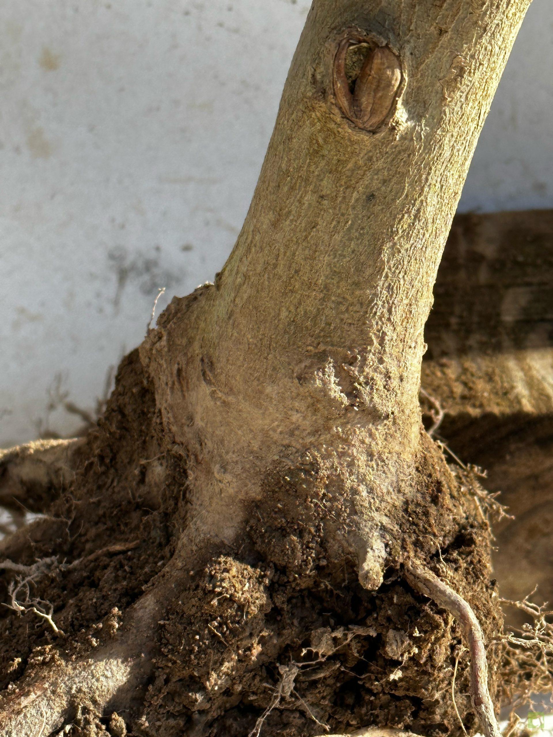 Processed with MOLDIV