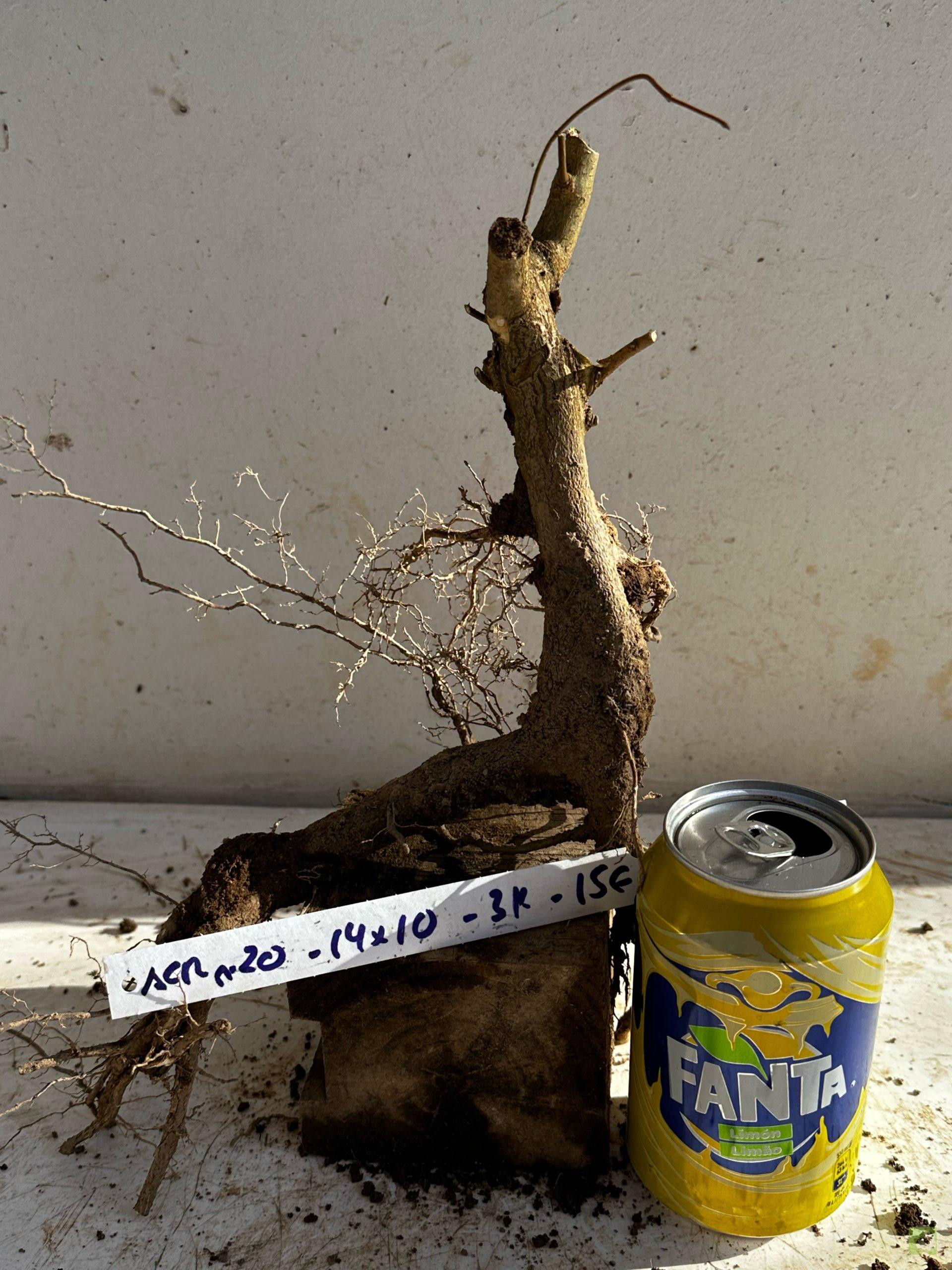 Processed with MOLDIV