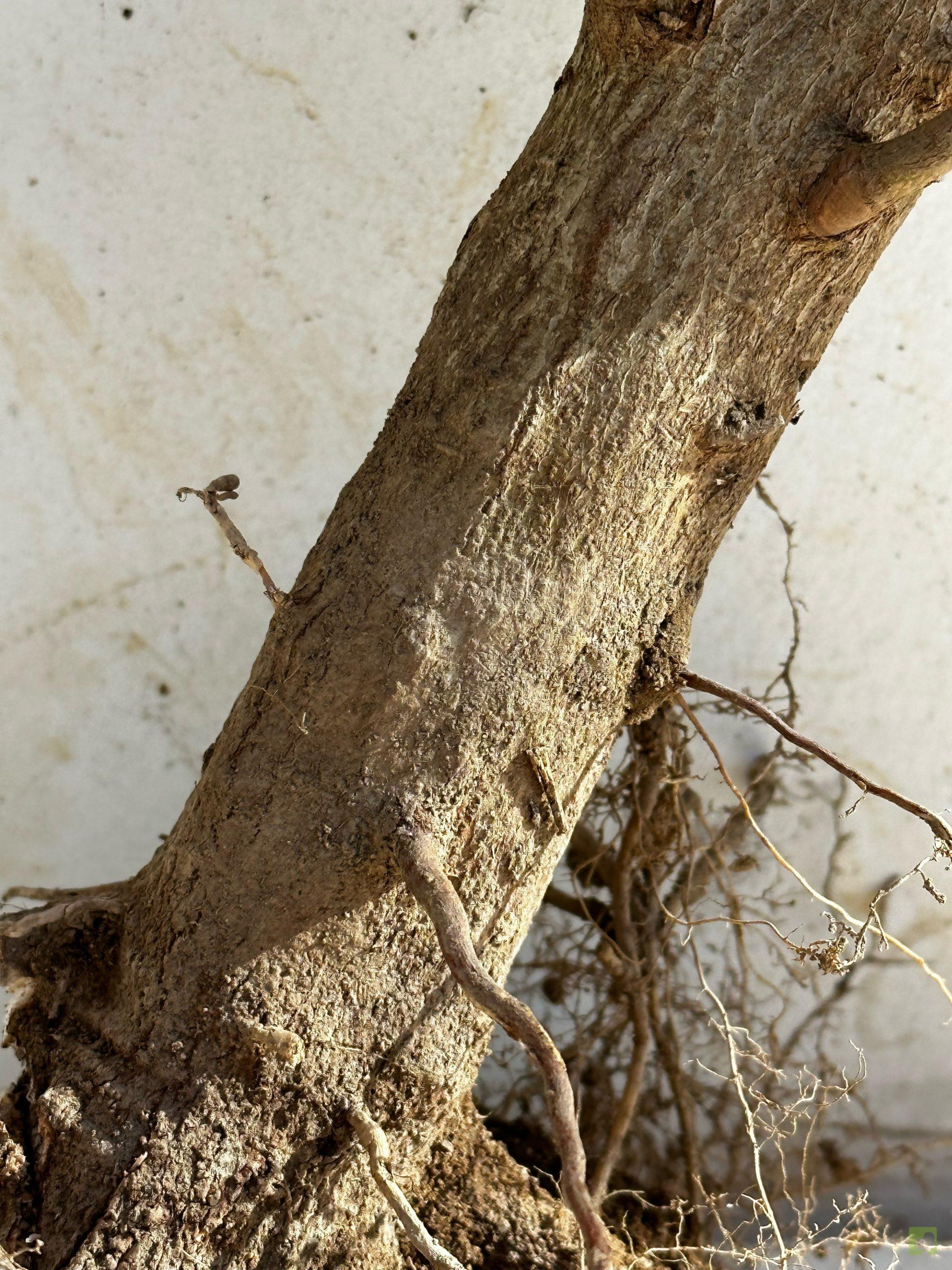 Processed with MOLDIV