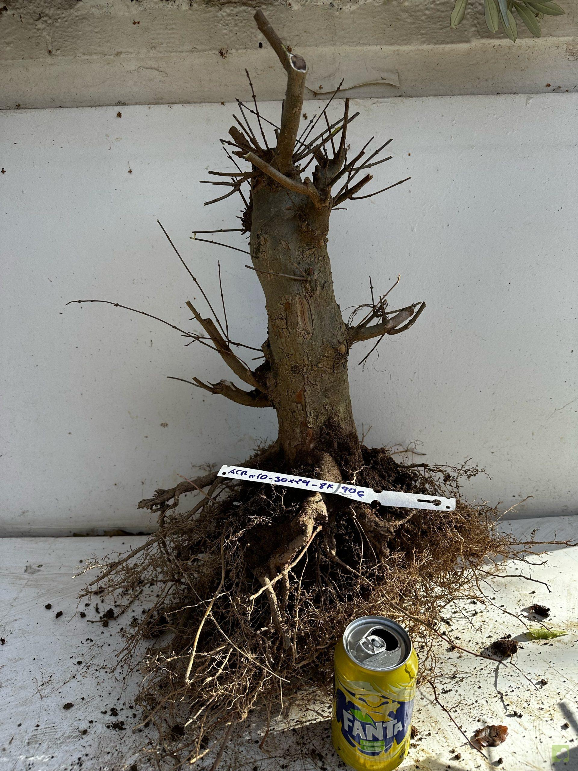 Processed with MOLDIV