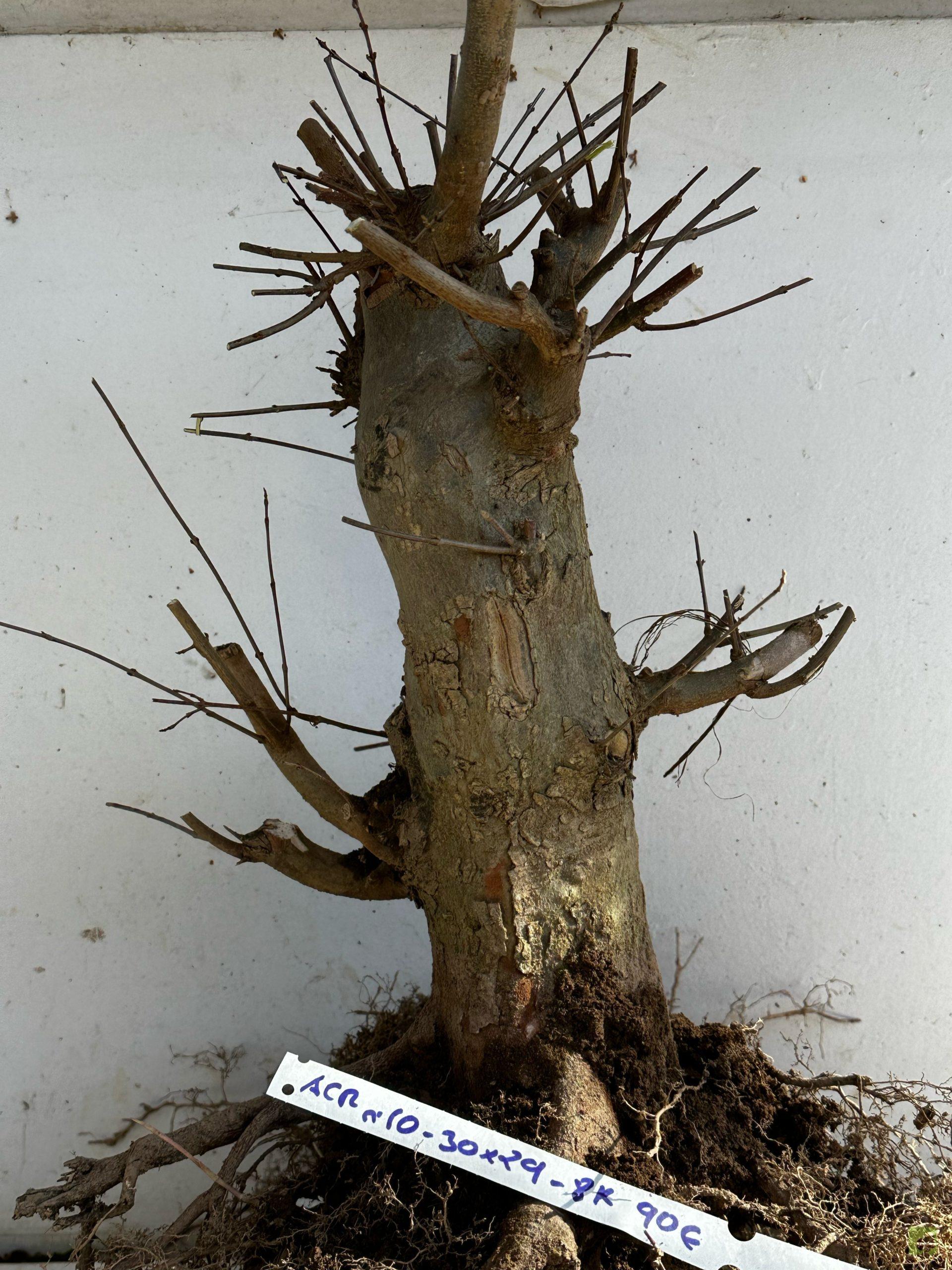 Processed with MOLDIV