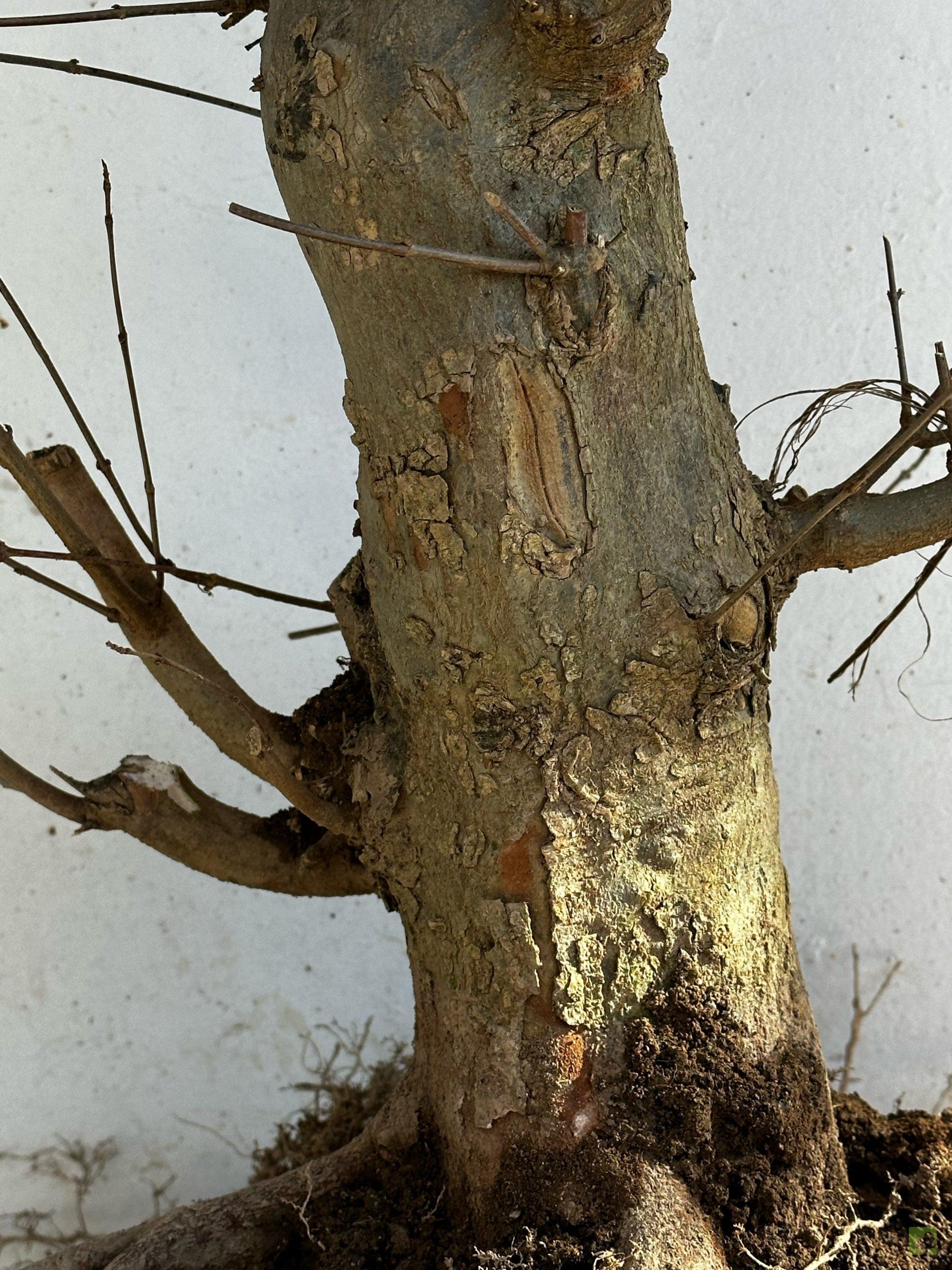 Processed with MOLDIV