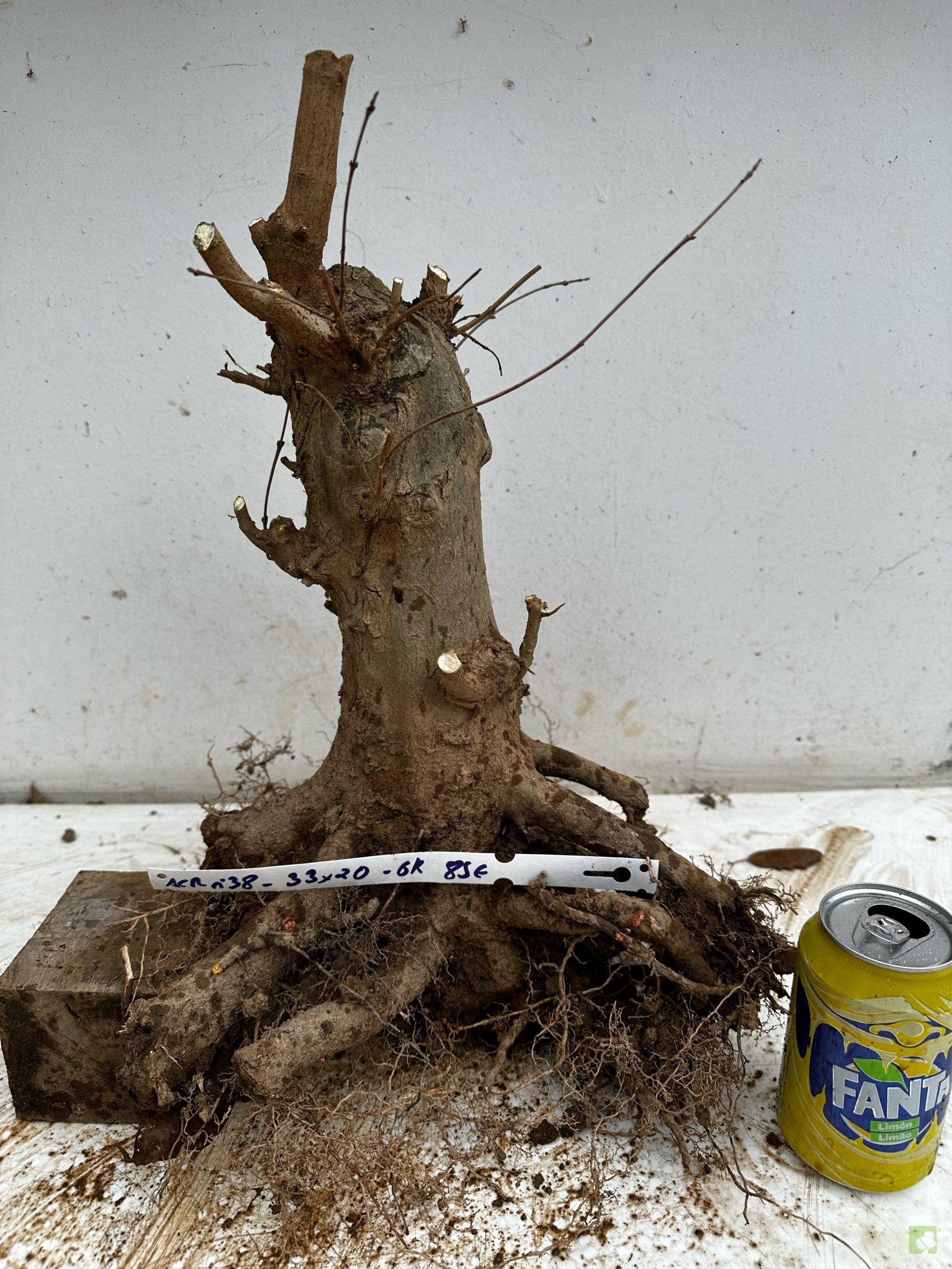 Processed with MOLDIV