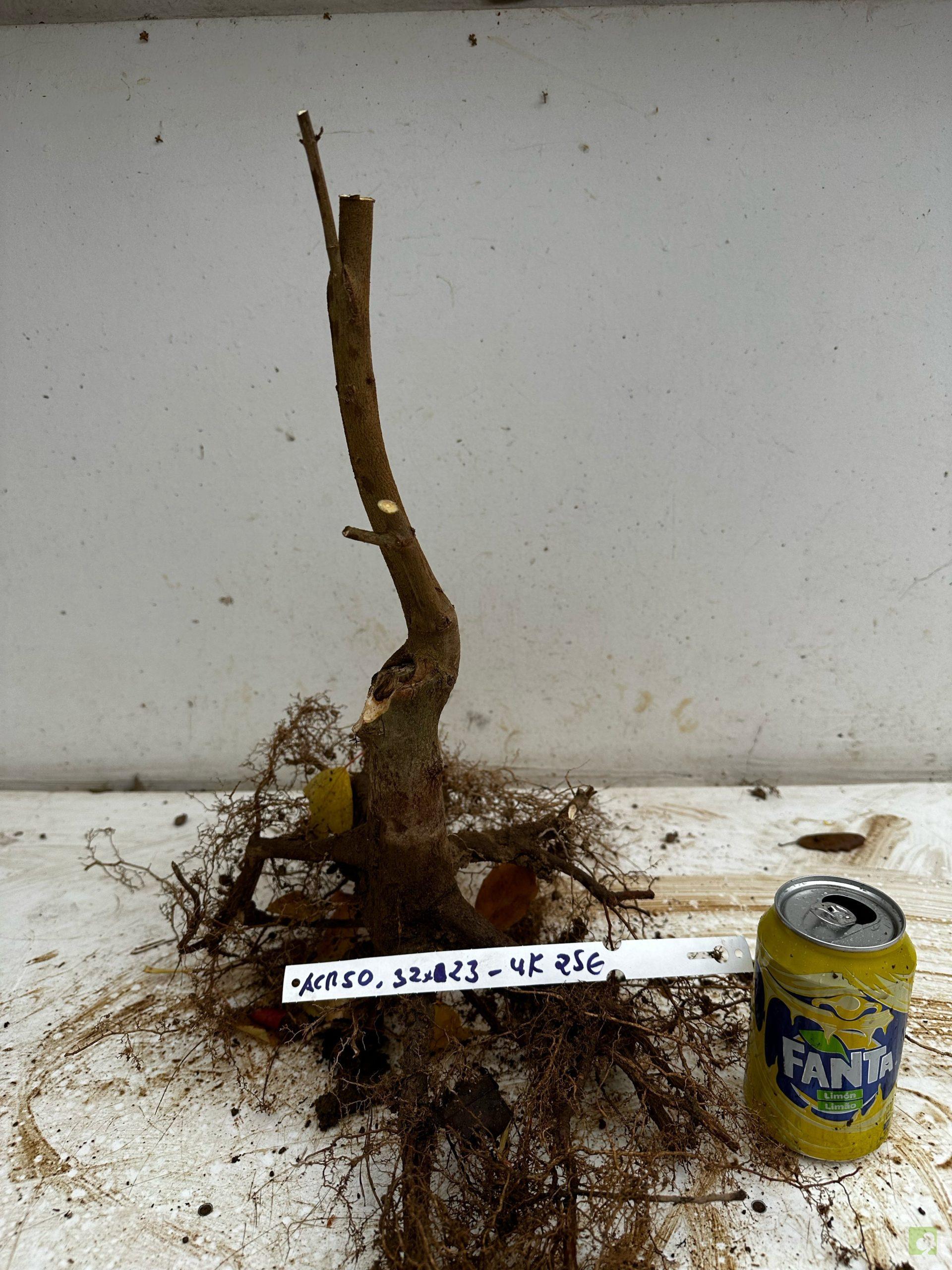 Processed with MOLDIV