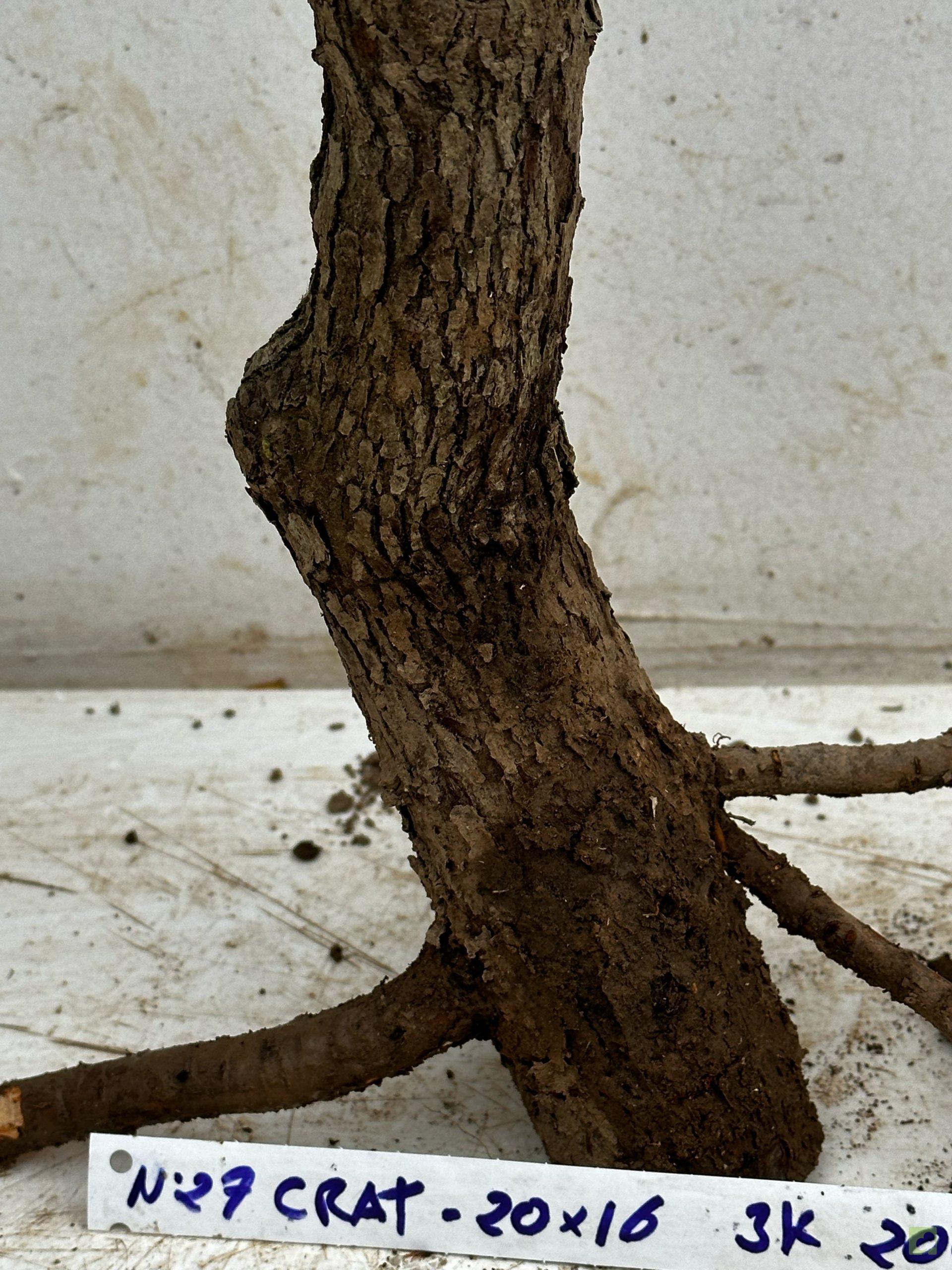 Processed with MOLDIV