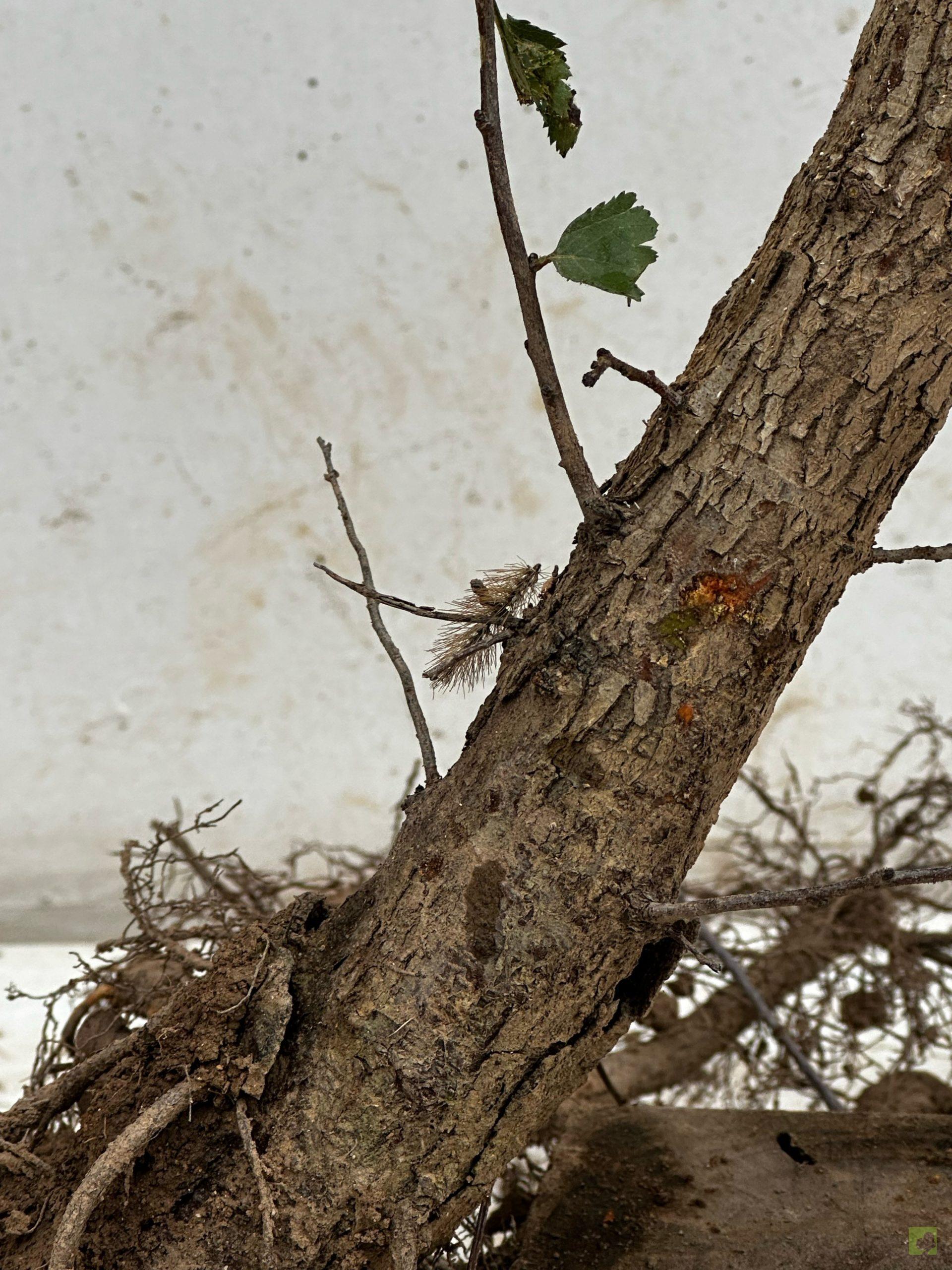 Processed with MOLDIV